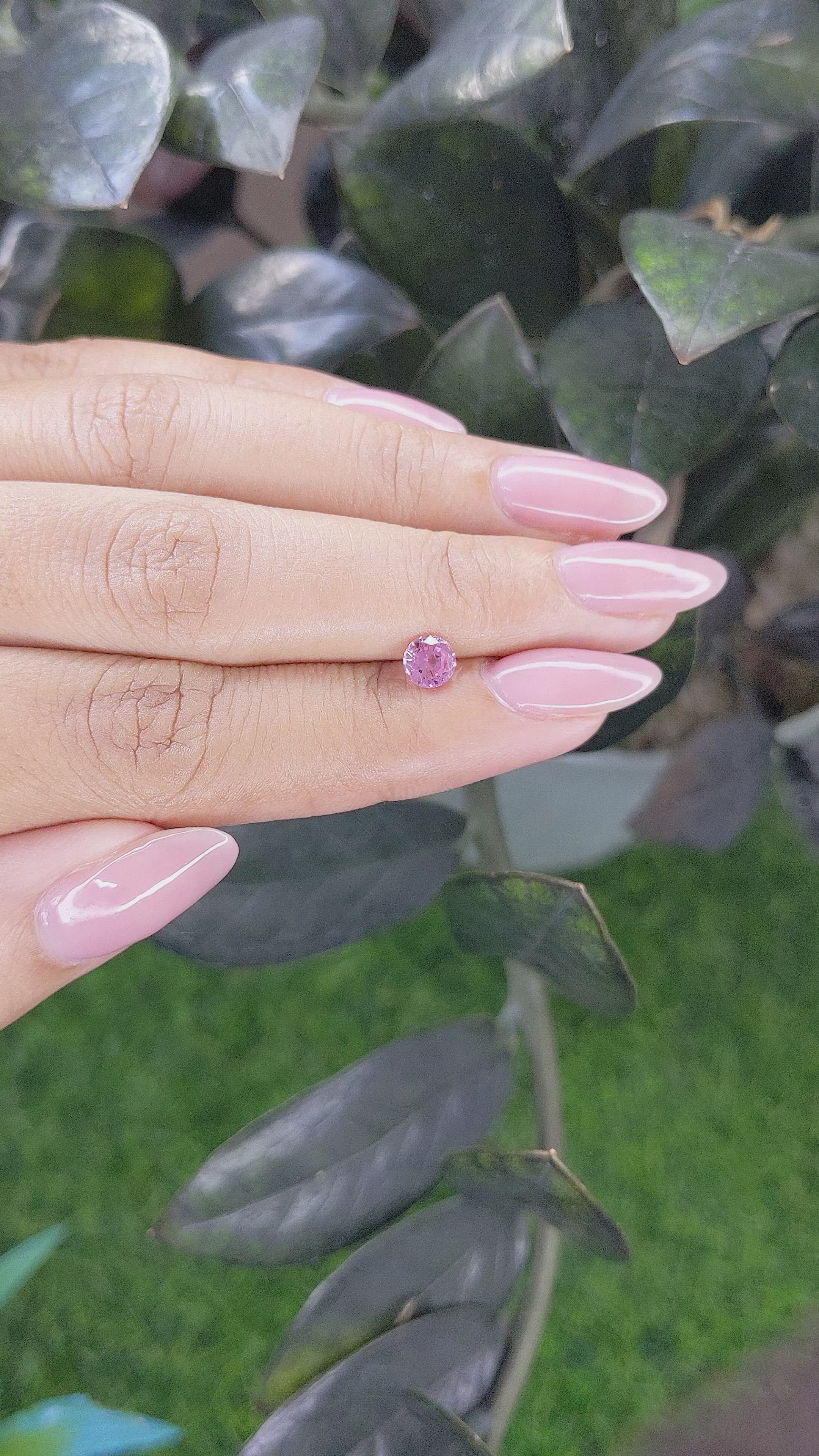 0.60 Ct. Pink Sapphire from Ceylon (Sri Lanka) Size Video