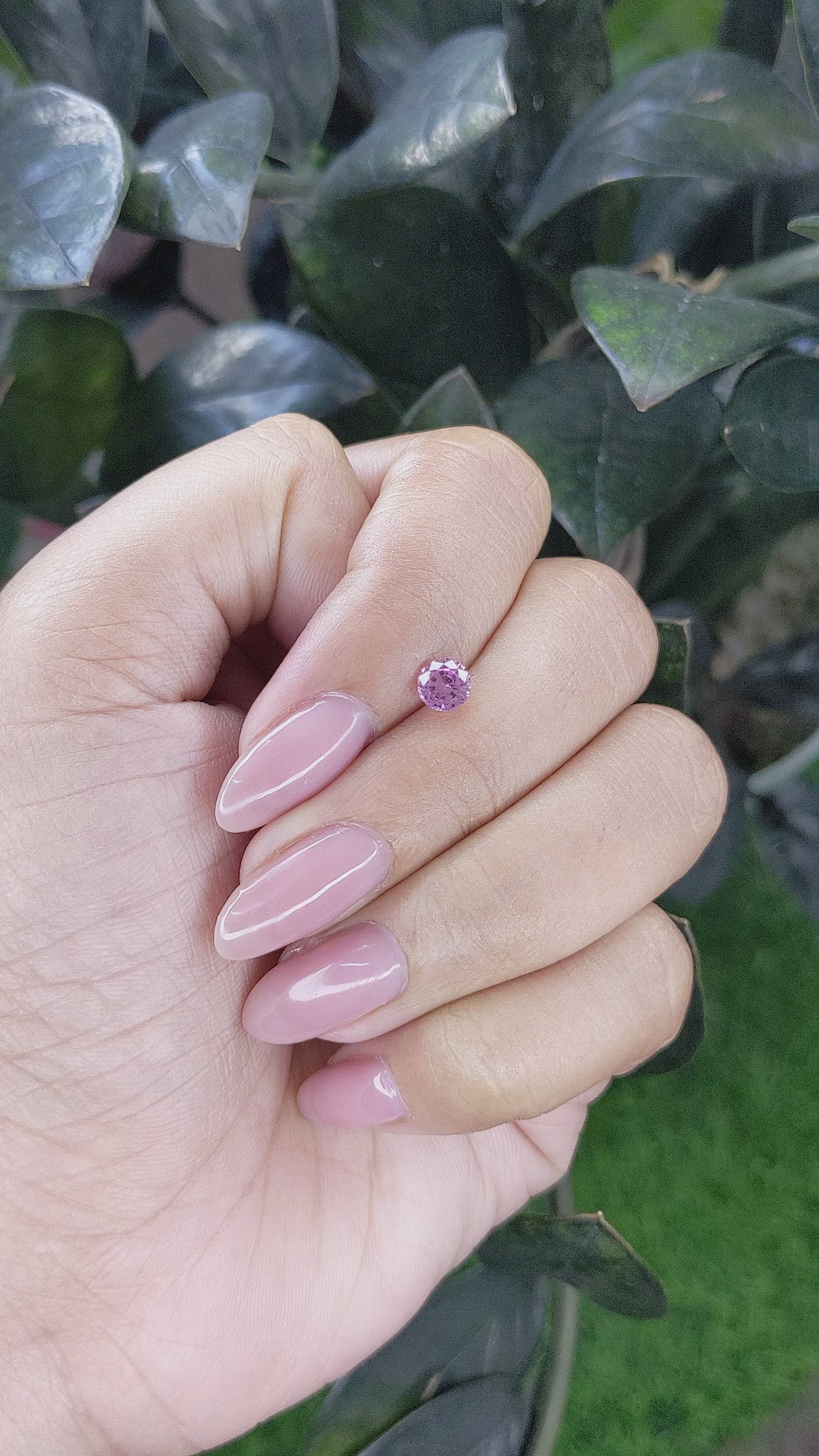 0.60 Ct. Pink Sapphire from Ceylon (Sri Lanka) Size Video