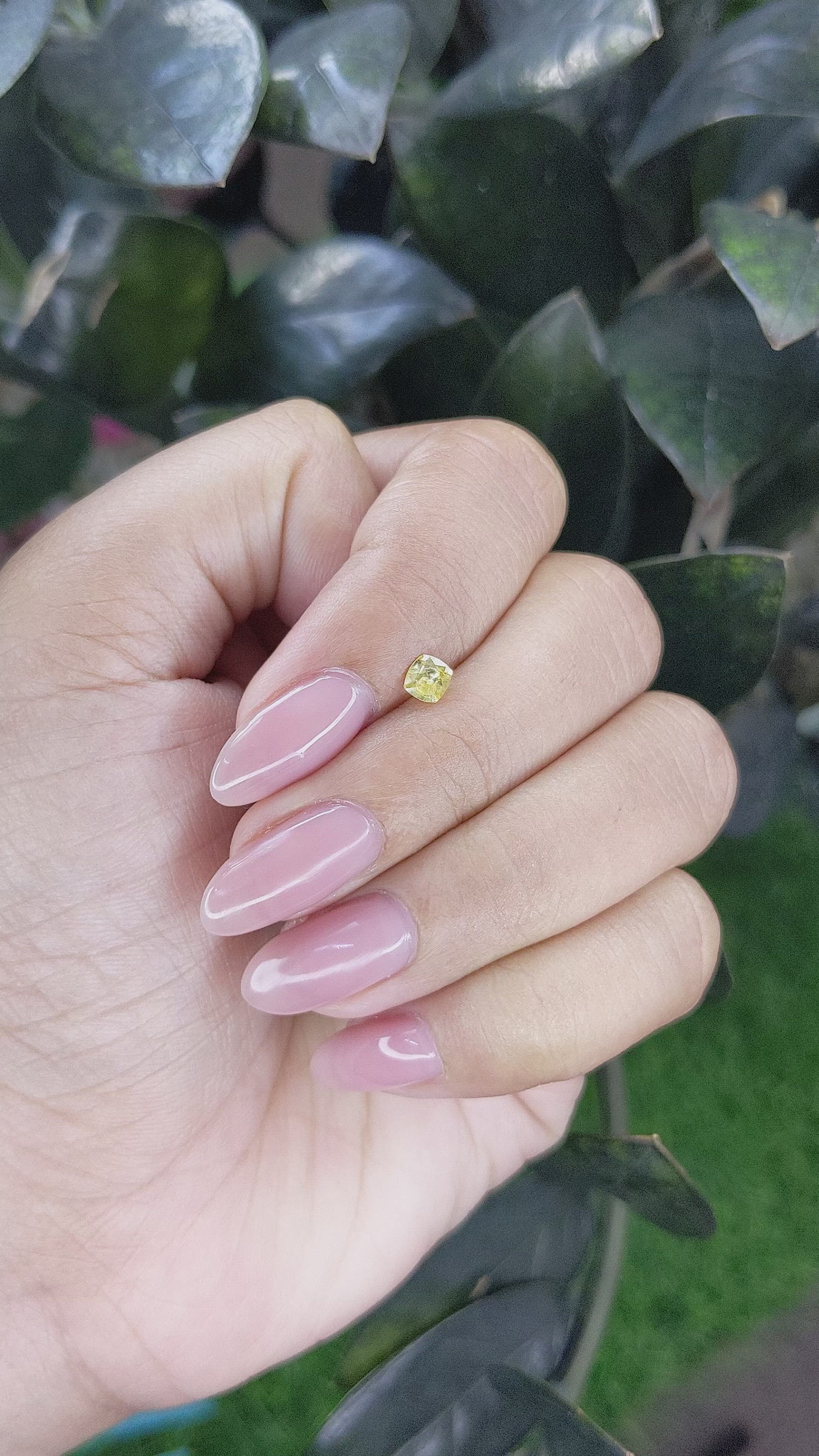 0.29 Ct. Yellow Sapphire from Ceylon (Sri Lanka) Size Video