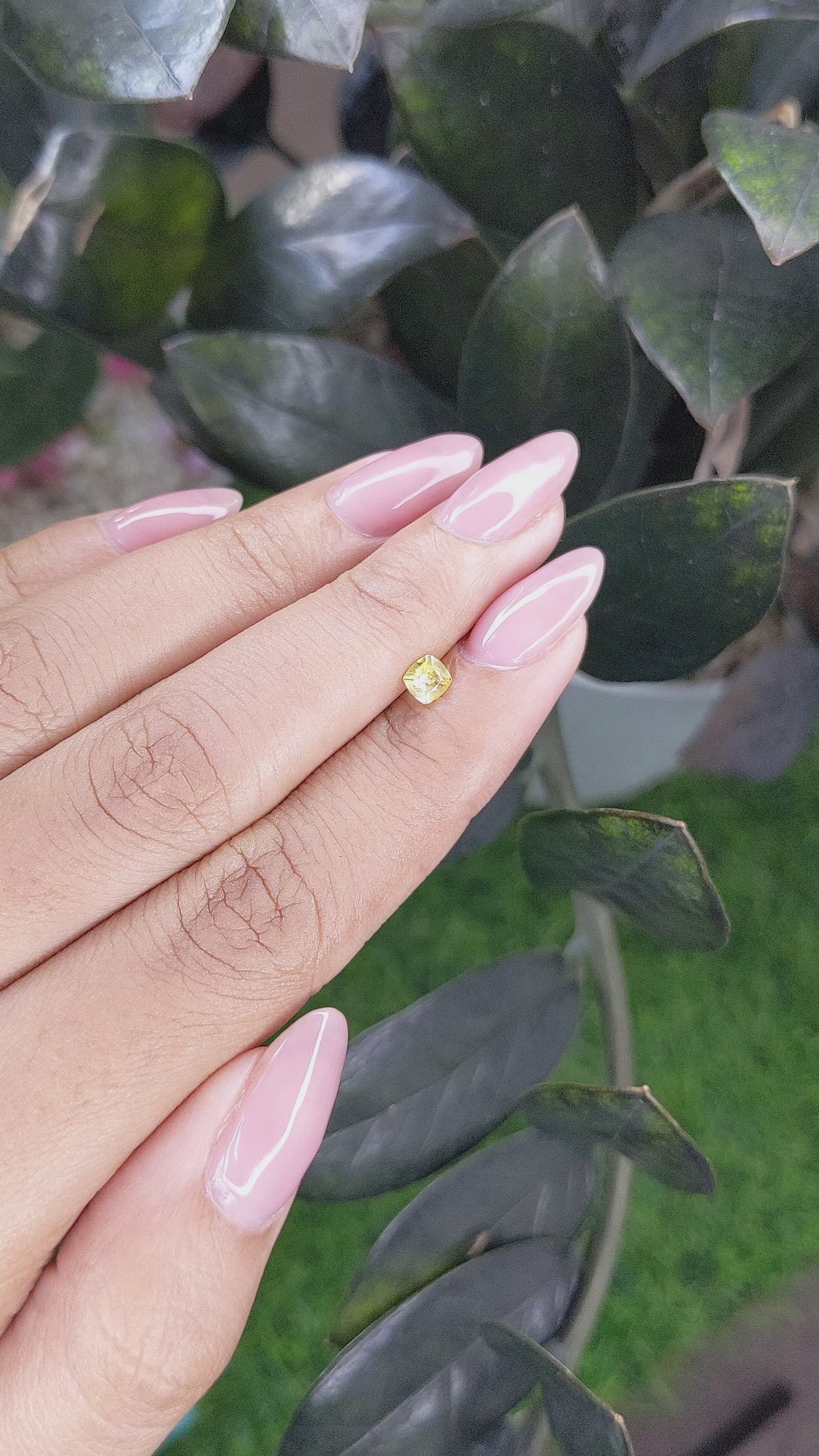0.29 Ct. Yellow Sapphire from Ceylon (Sri Lanka) Size Video