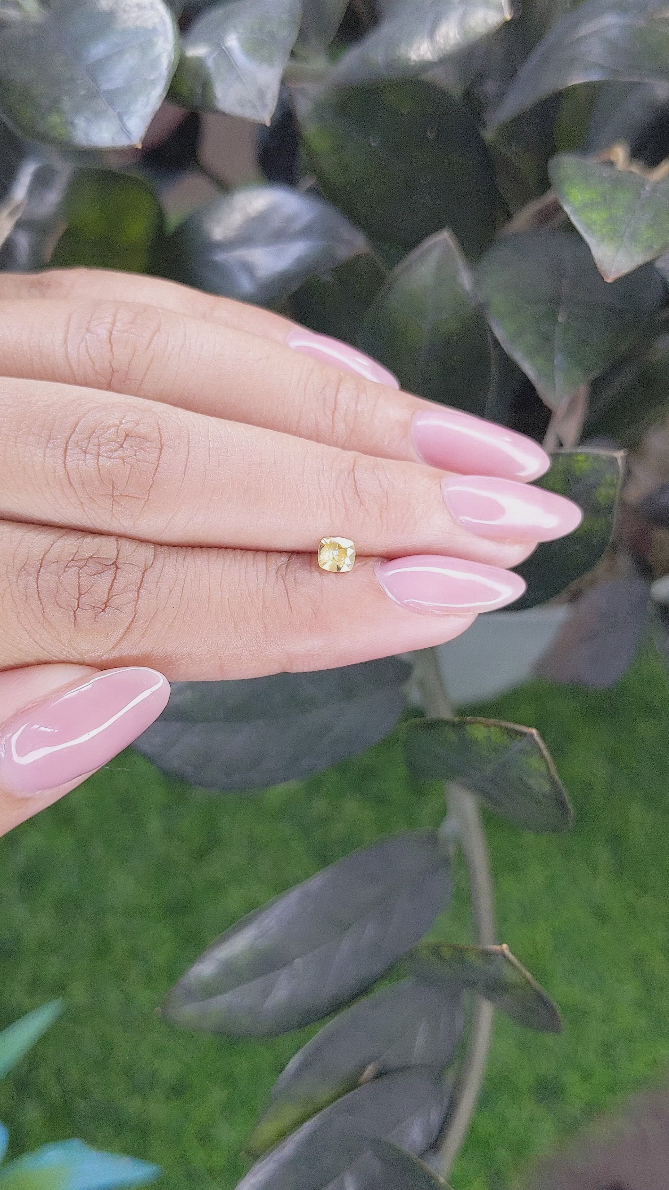 0.29 Ct. Yellow Sapphire from Ceylon (Sri Lanka) Size Video