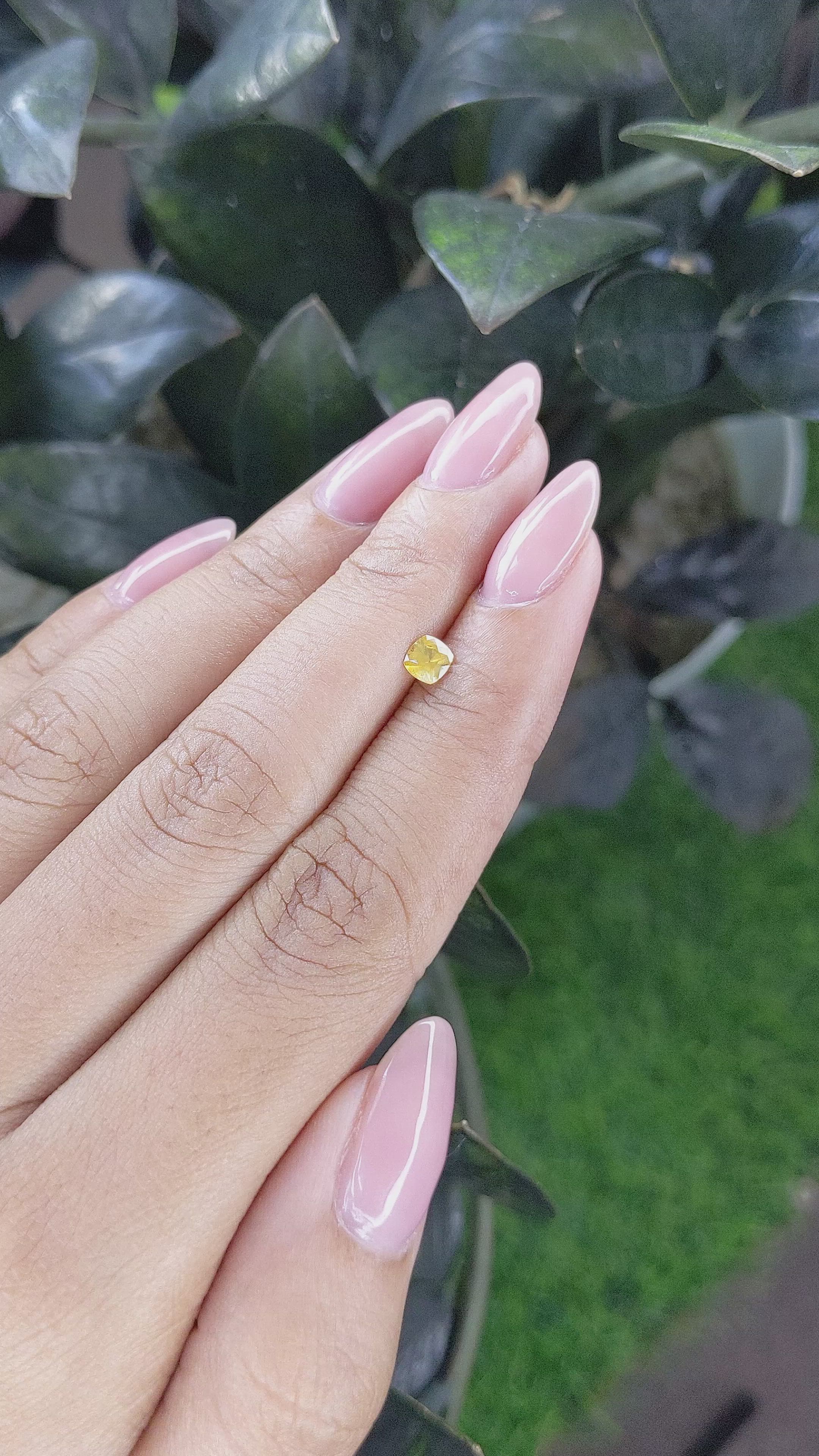 0.31 Ct. Yellow Sapphire from Ceylon (Sri Lanka) Size Video