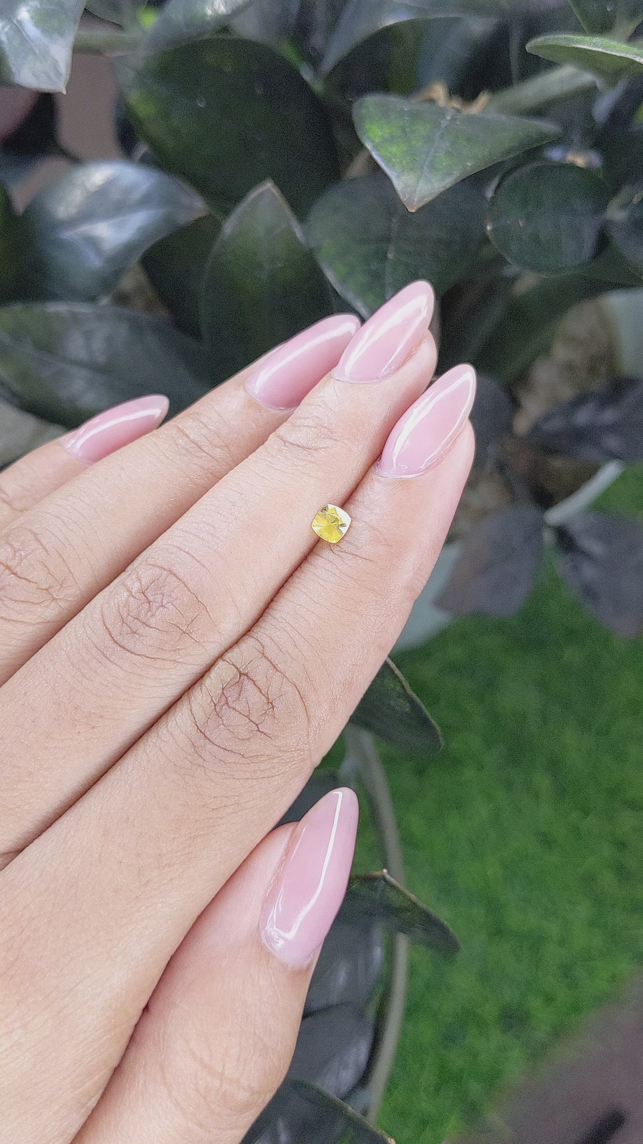 0.31 Ct. Yellow Sapphire from Ceylon (Sri Lanka) Size Video