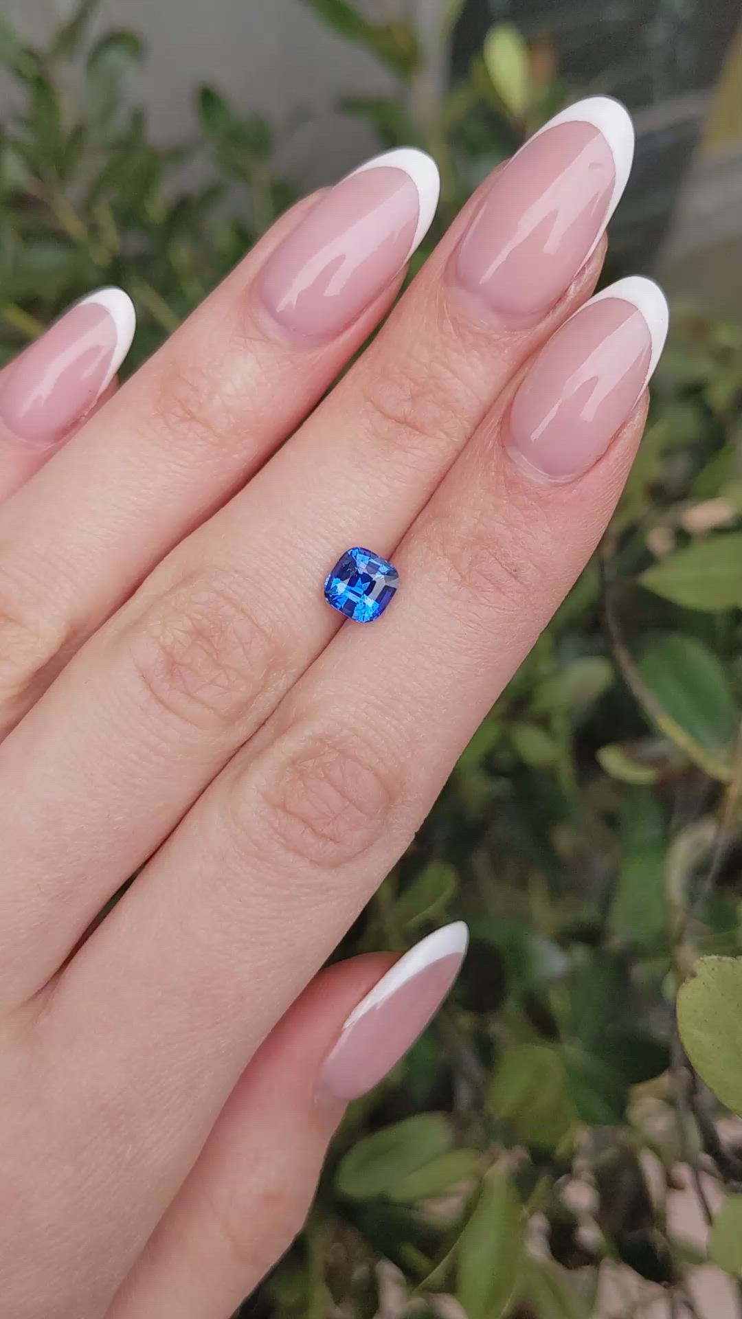 1.65 Ct. Blue Sapphire from Ceylon (Sri Lanka) Size Video