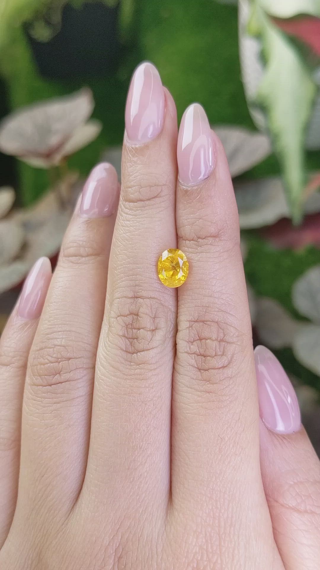 2.04 Ct. Yellow Sapphire from Ceylon (Sri Lanka) Size Video