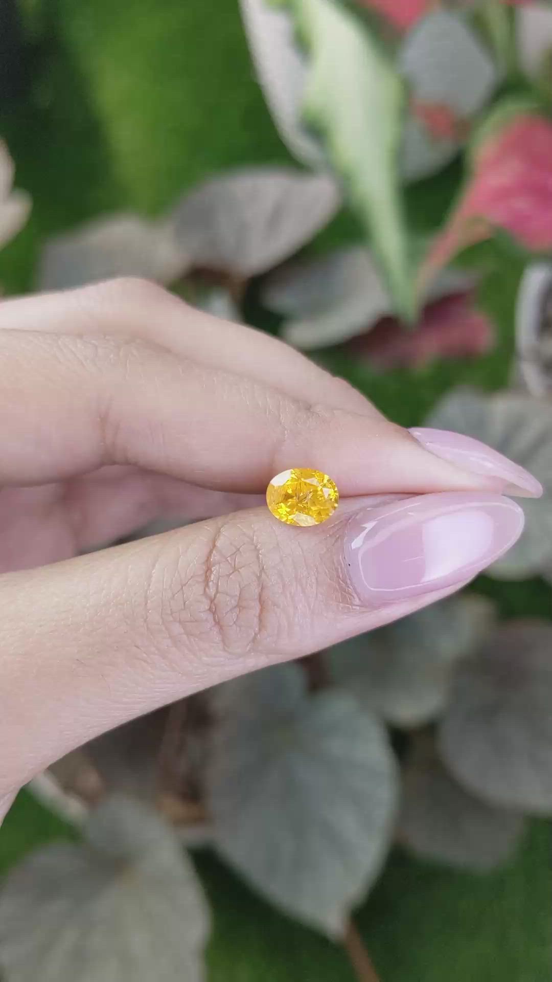 2.04 Ct. Yellow Sapphire from Ceylon (Sri Lanka) Size Video