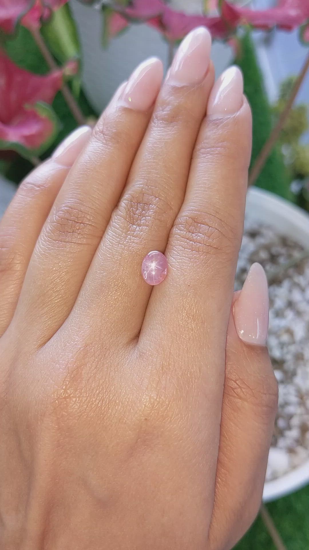 2.06 Ct. Padparadscha Star Sapphire from Ceylon (Sri Lanka) Size Video