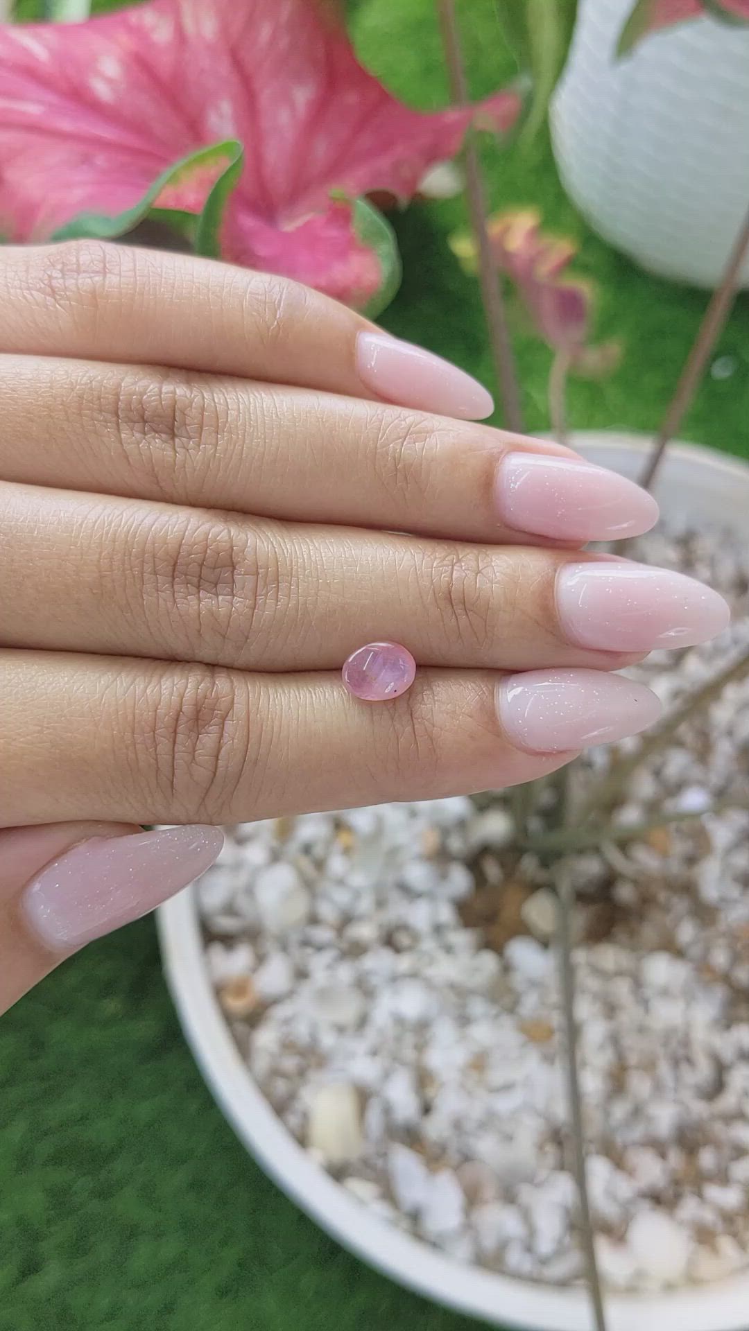 2.06 Ct. Padparadscha Star Sapphire from Ceylon (Sri Lanka) Size Video