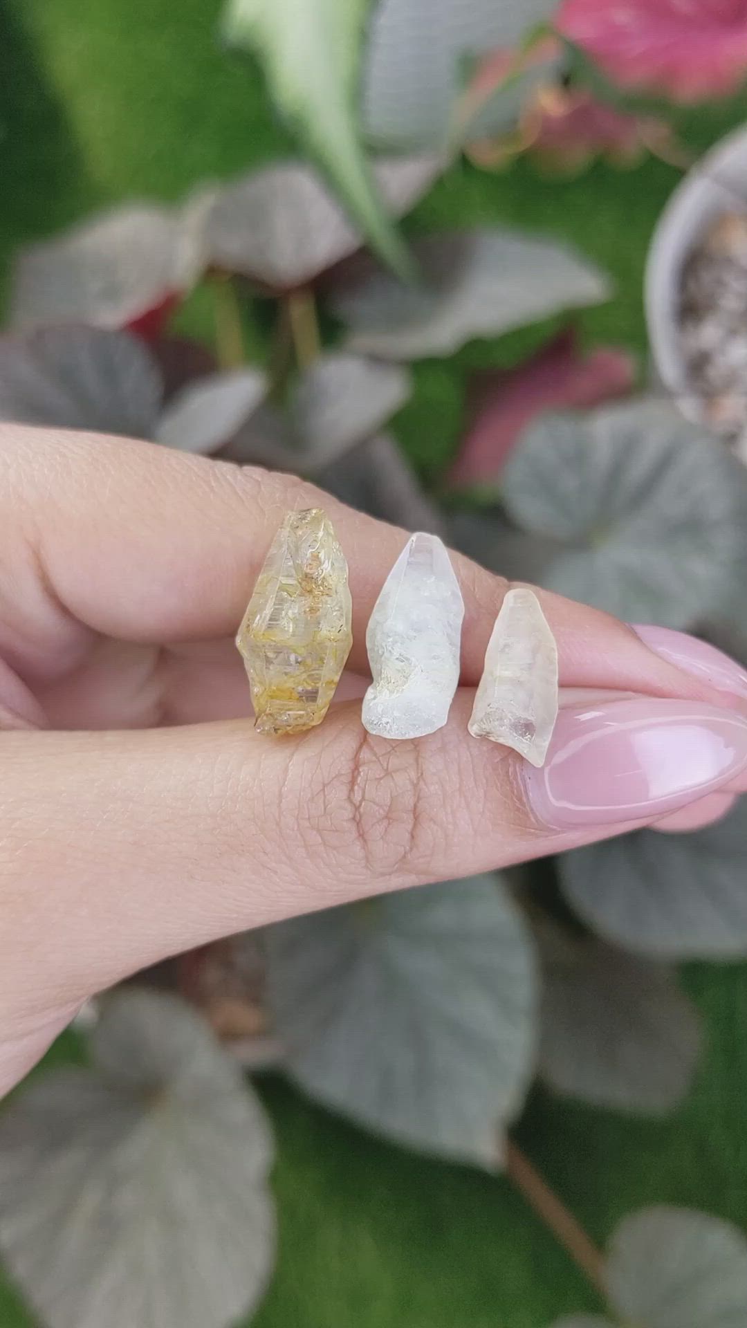 27.03 Ct. Yellow Sapphire Crystal from Ceylon (Sri Lanka) Size Video