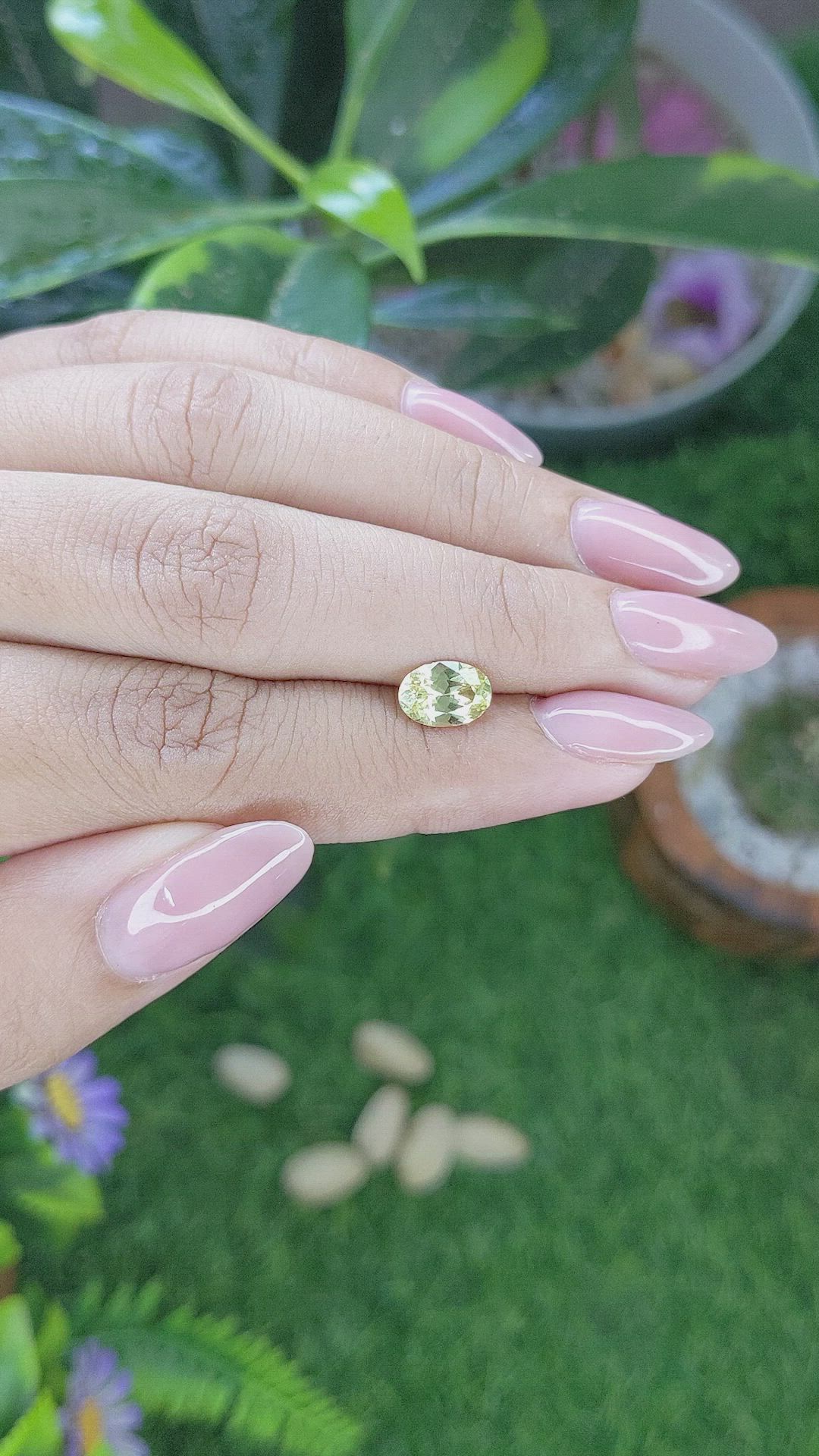 1.44 Ct. Yellowish Green Sapphire from Montana Size Video