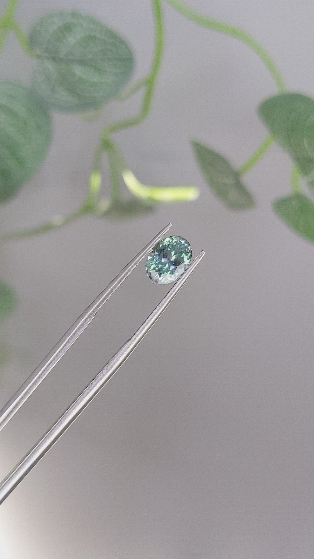 1.66 Ct. Bluish Green Sapphire from Montana Size Video