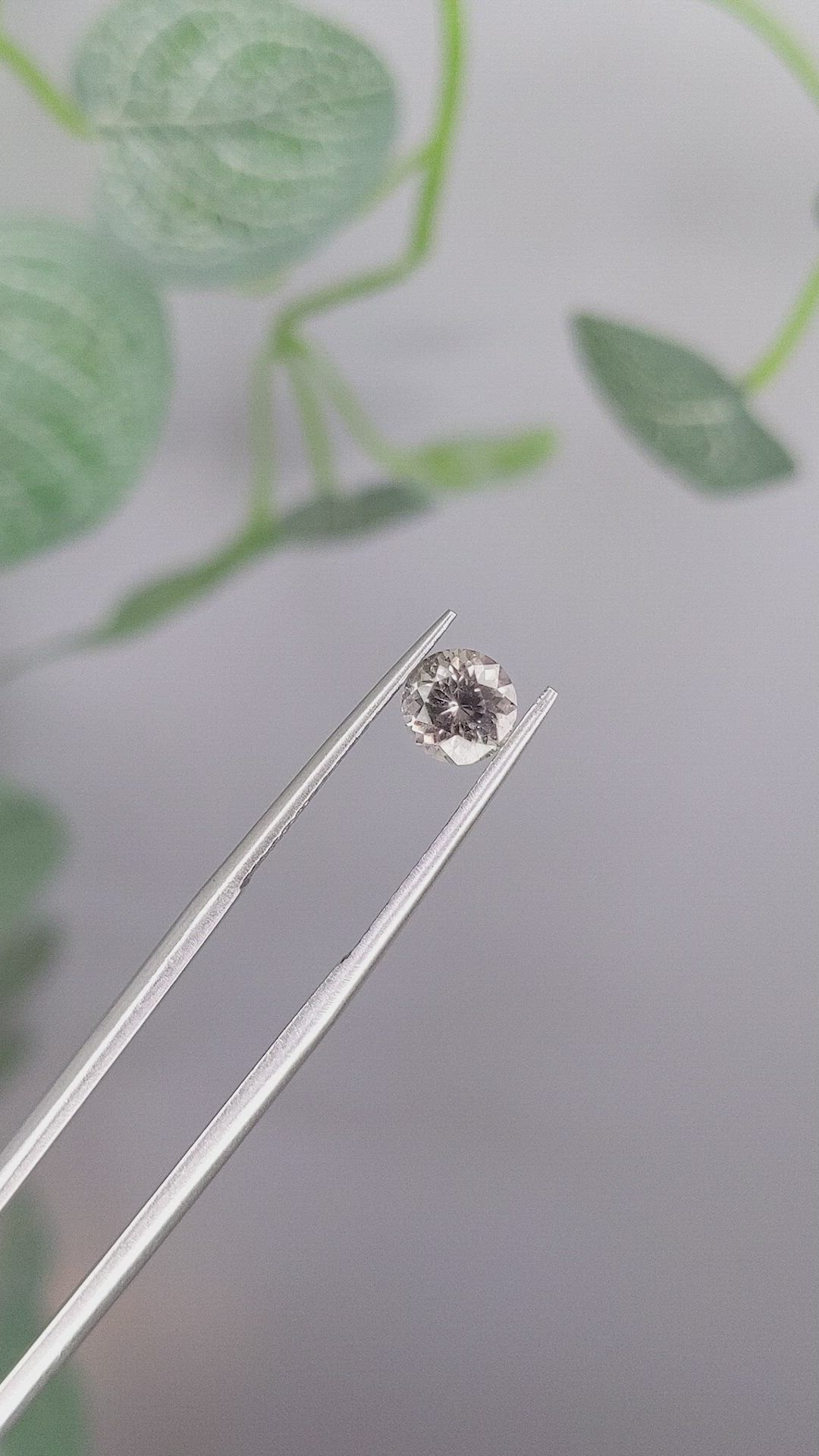 1.01 Ct. Greenish Brown Sapphire from Montana Size Video