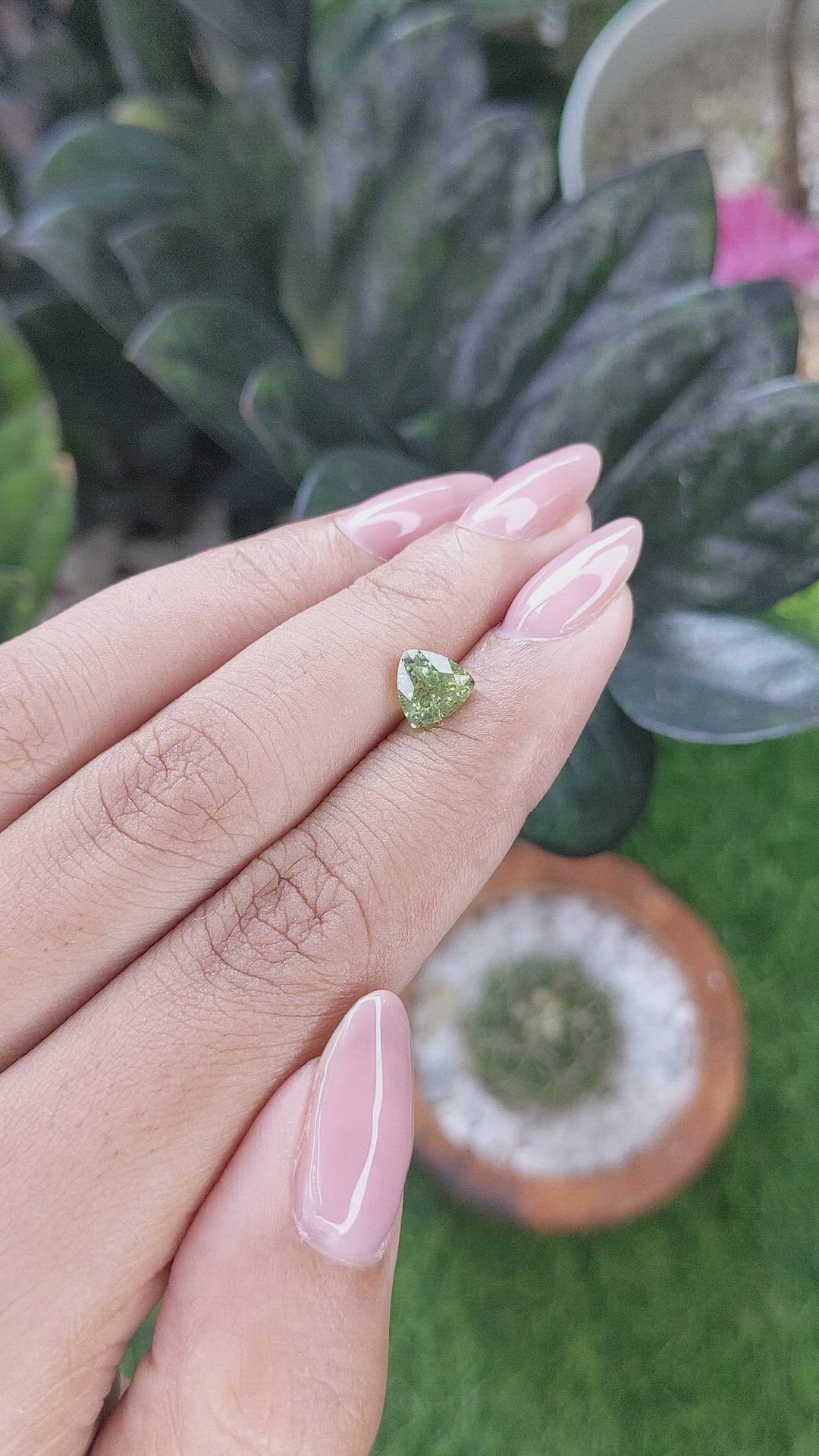 1.54 Ct. Yellowish Green Sapphire from Montana Size Video