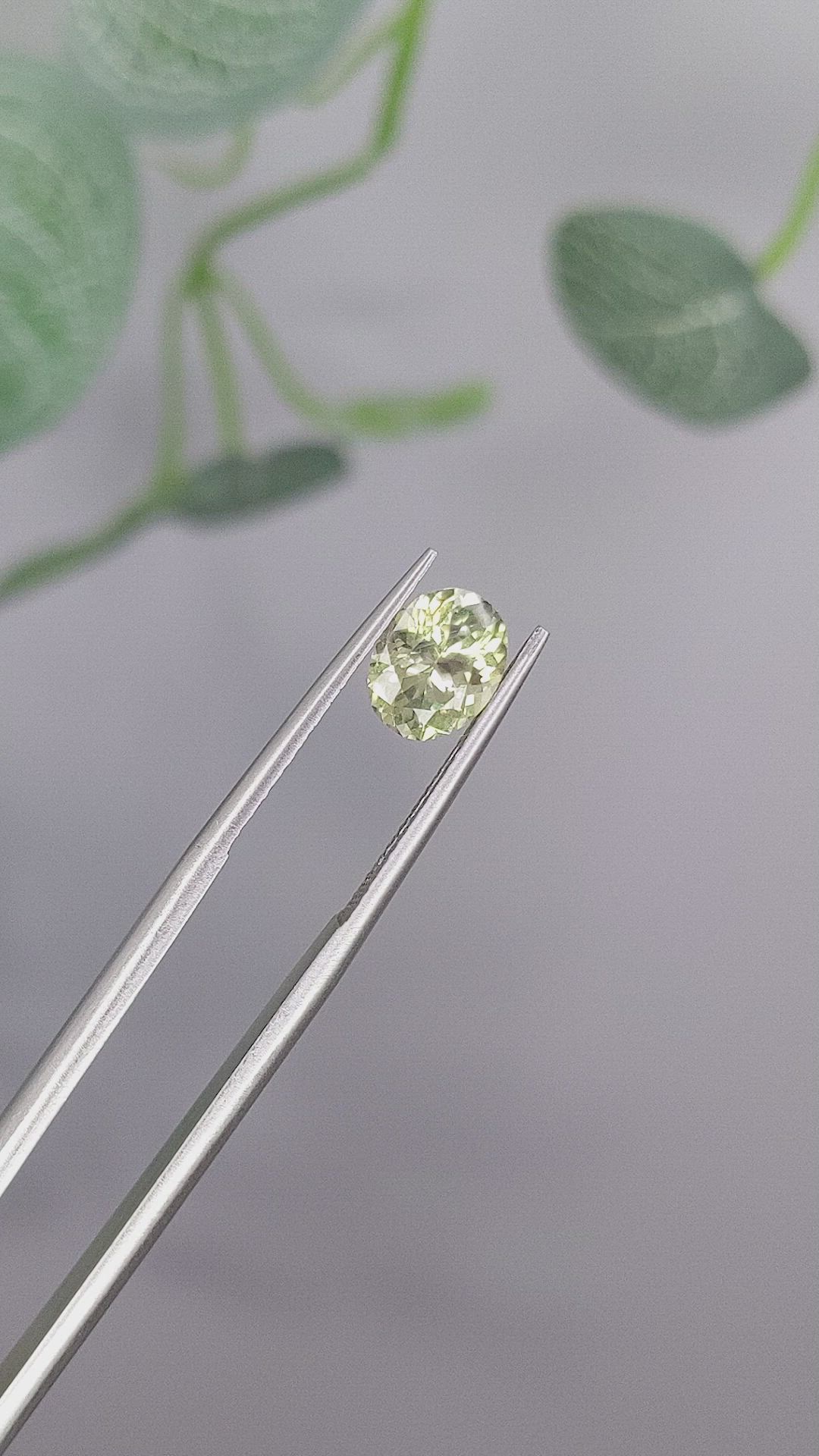 1.50 Ct. Yellowish Green Sapphire from Montana Size Video