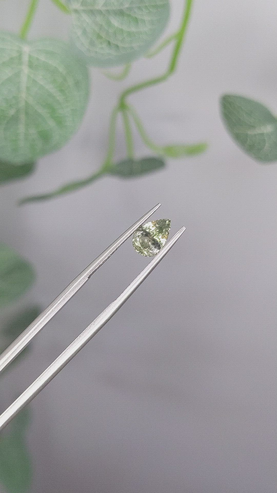 1.30 Ct. Yellowish Green Sapphire from Montana Size Video