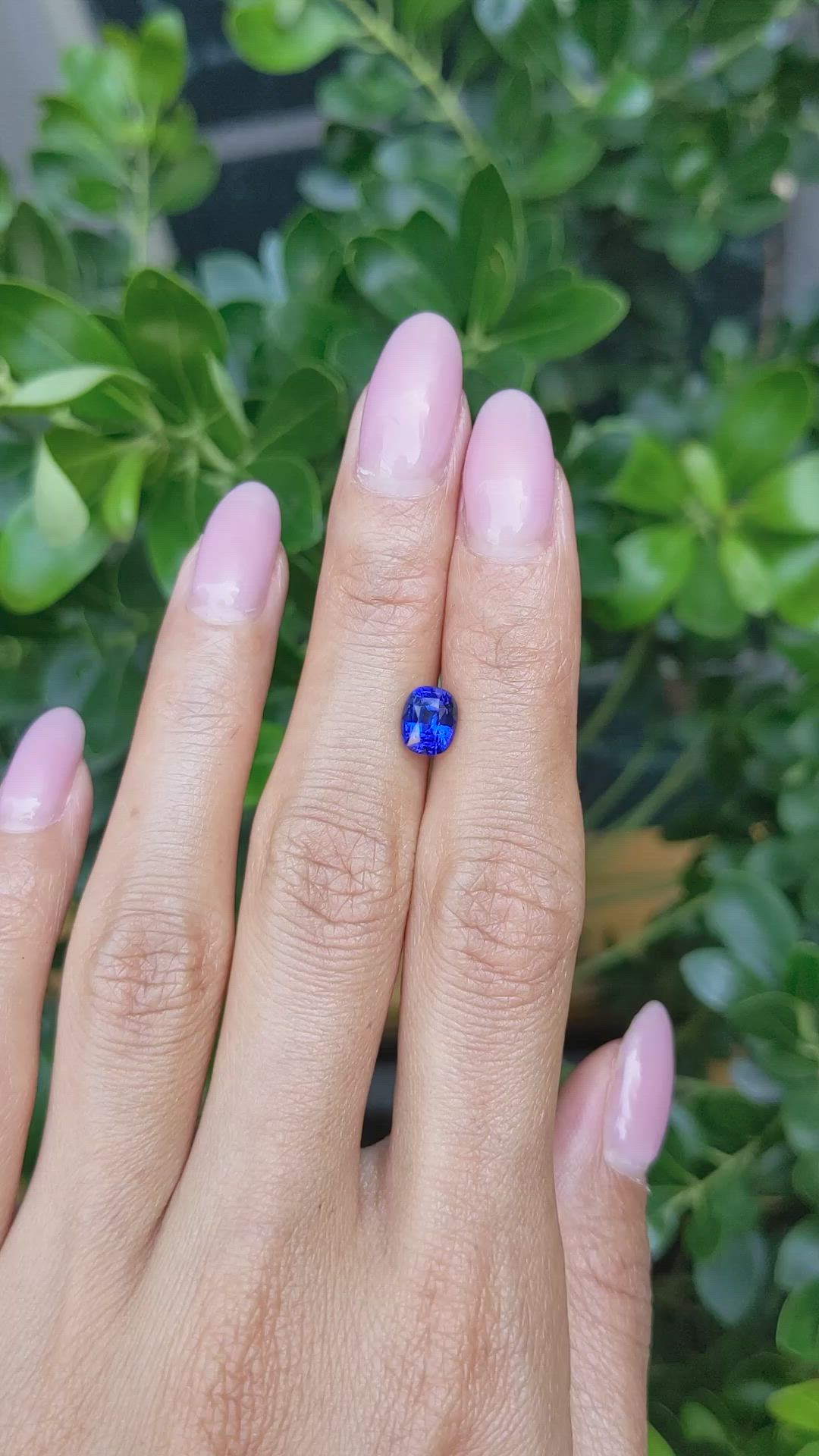 1.58 Ct. Blue Sapphire from Ceylon (Sri Lanka) Size Video