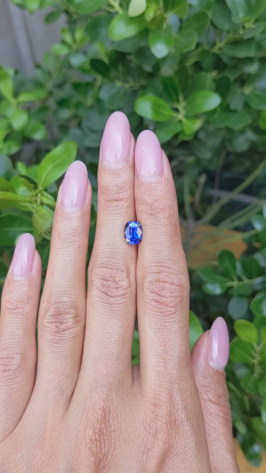 1.56 Ct. Blue Sapphire from Ceylon (Sri Lanka) Size Video