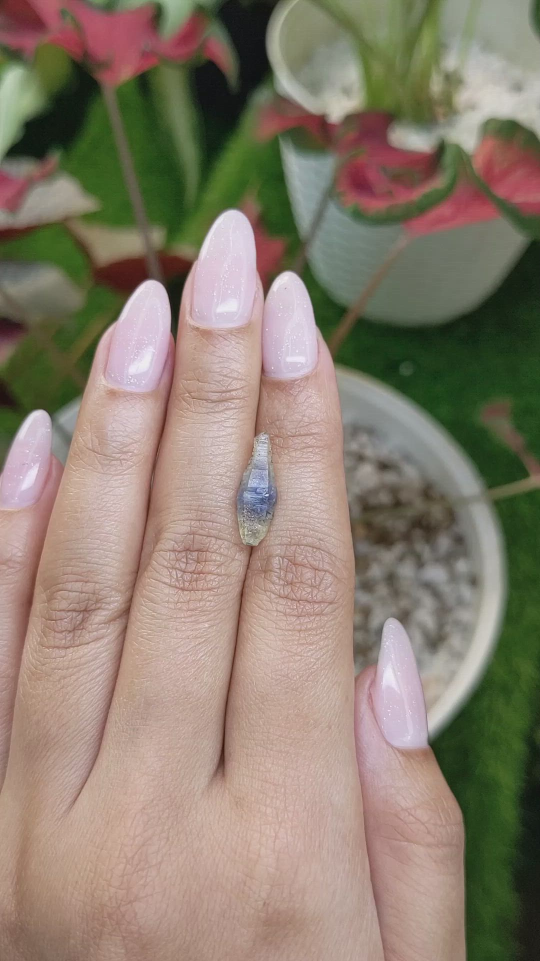 3.61 Ct. Bi Color Sapphire Crystal from Ceylon (Sri Lanka) Size Video