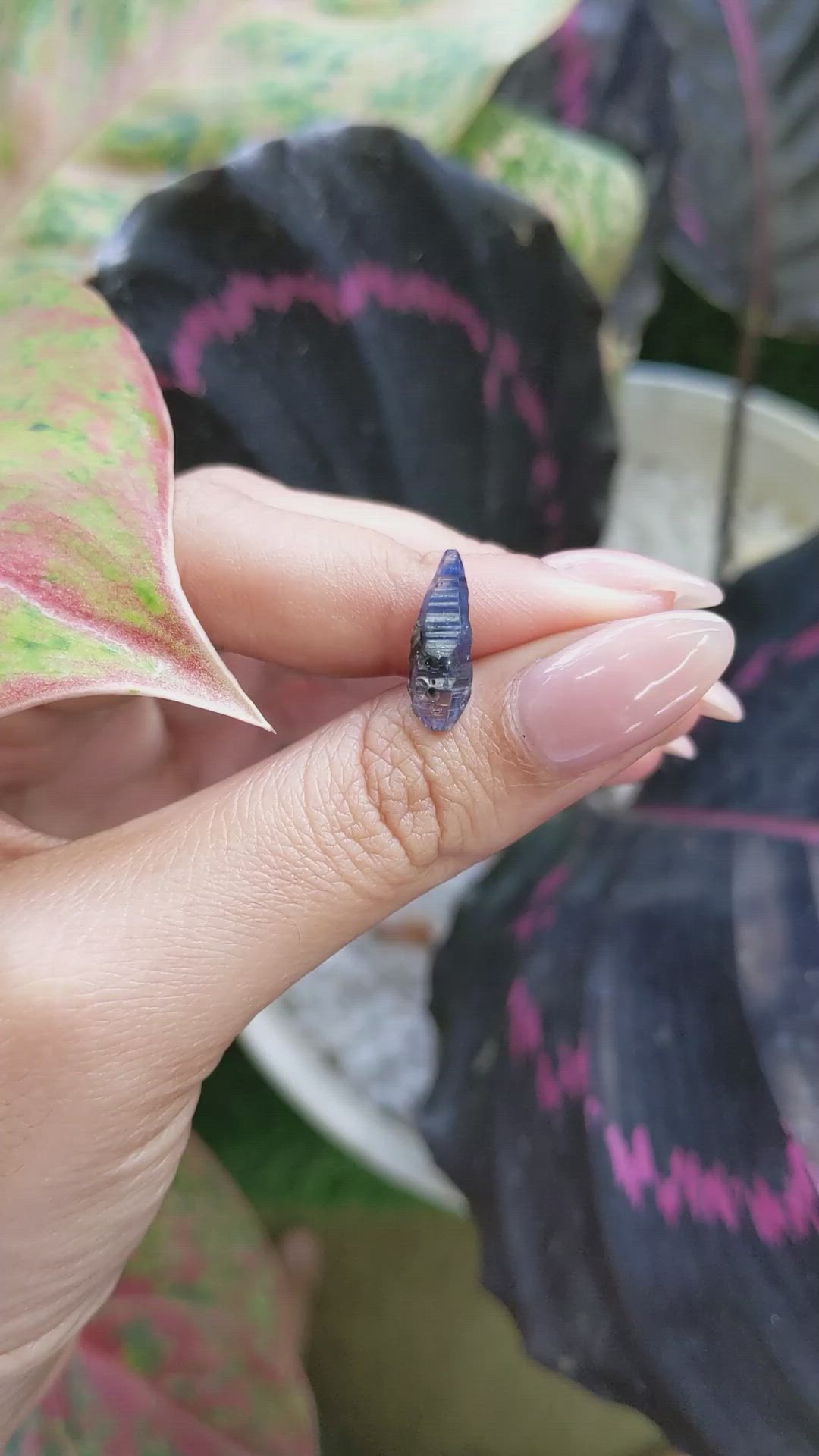 3.19 Ct. Blue Sapphire Crystal from Ceylon (Sri Lanka) Size Video