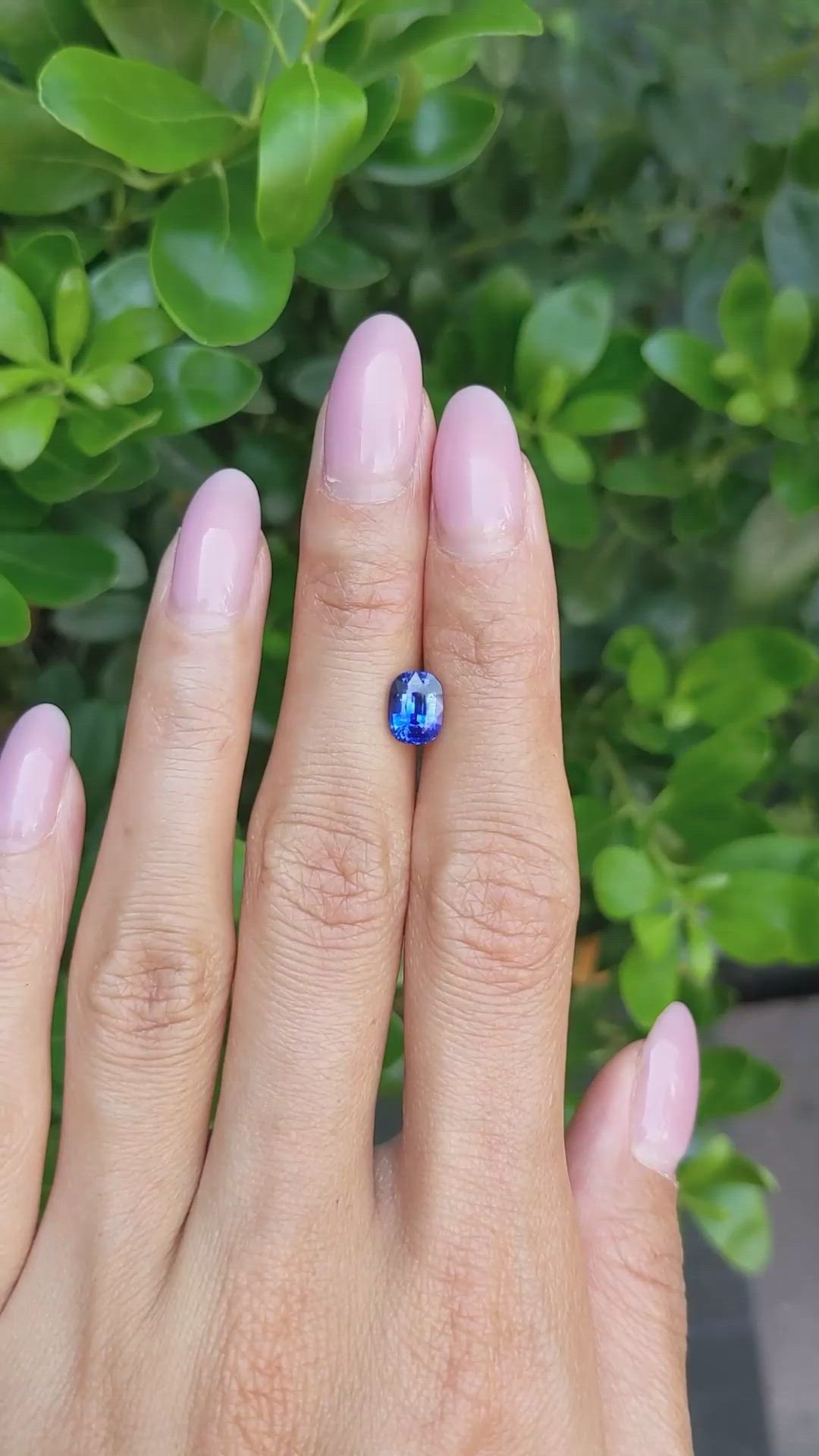 1.58 Ct. Blue Sapphire from Ceylon (Sri Lanka) Size Video