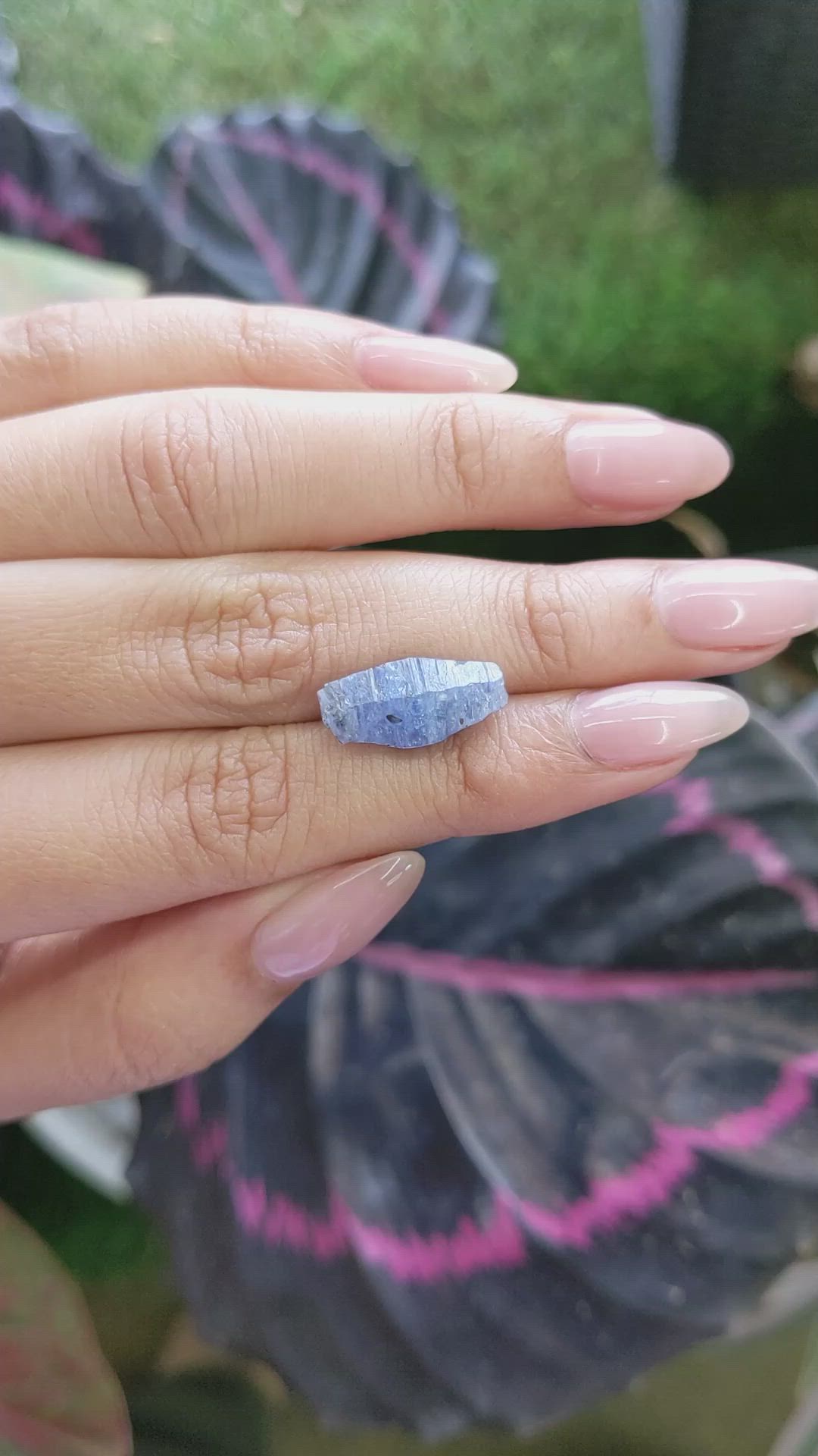 8.67 Ct. Blue Sapphire Crystal from Ceylon (Sri Lanka) Size Video