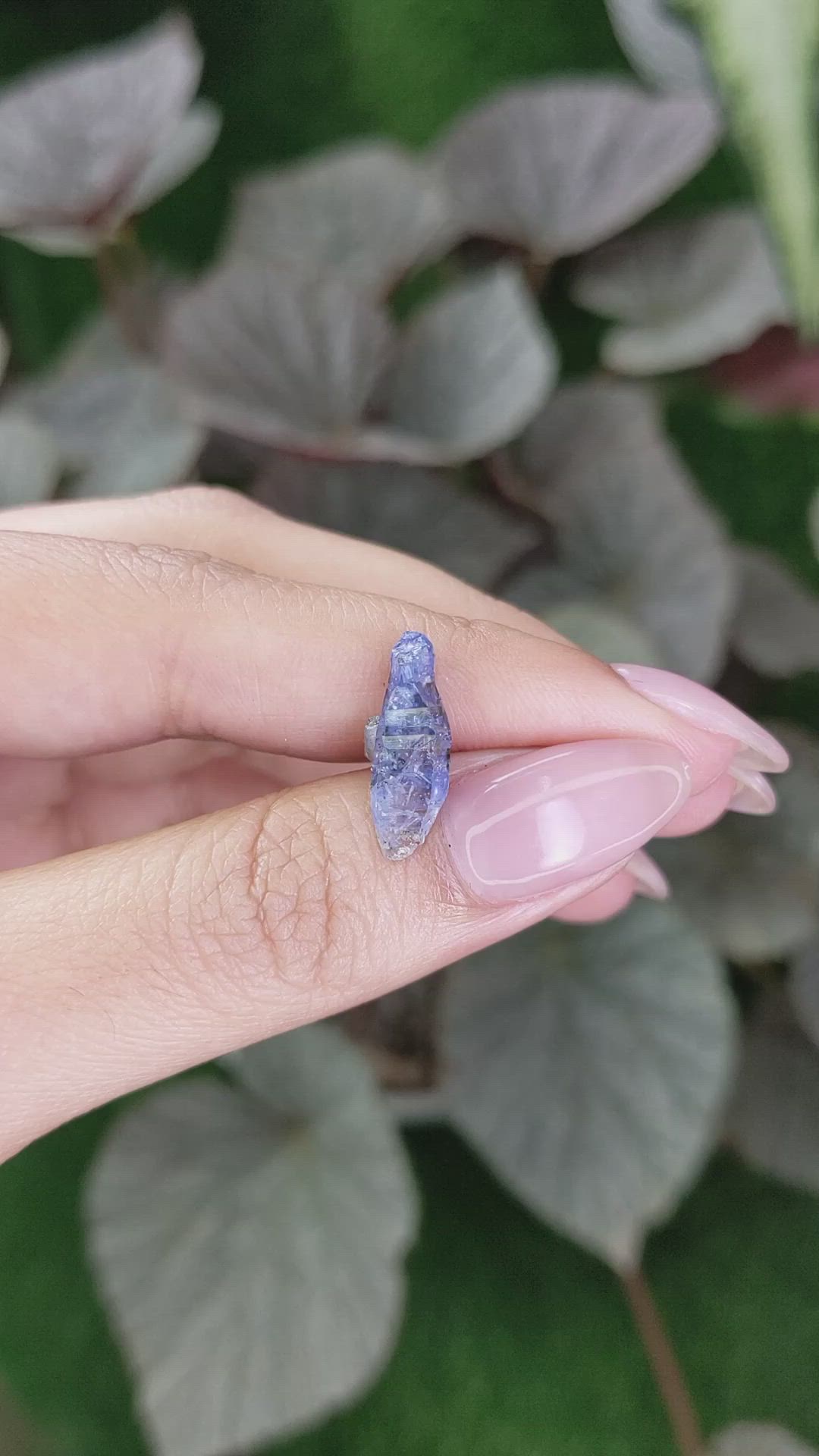 4.22 Ct. Blue Sapphire Crystal from Ceylon (Sri Lanka) Size Video