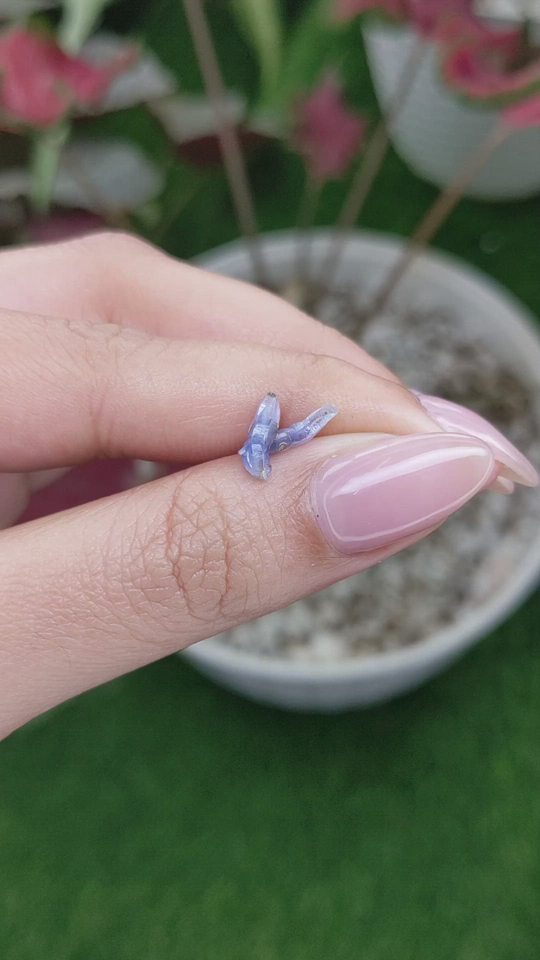 1.22 Ct. Blue Sapphire Crystal from Ceylon (Sri Lanka) Size Video