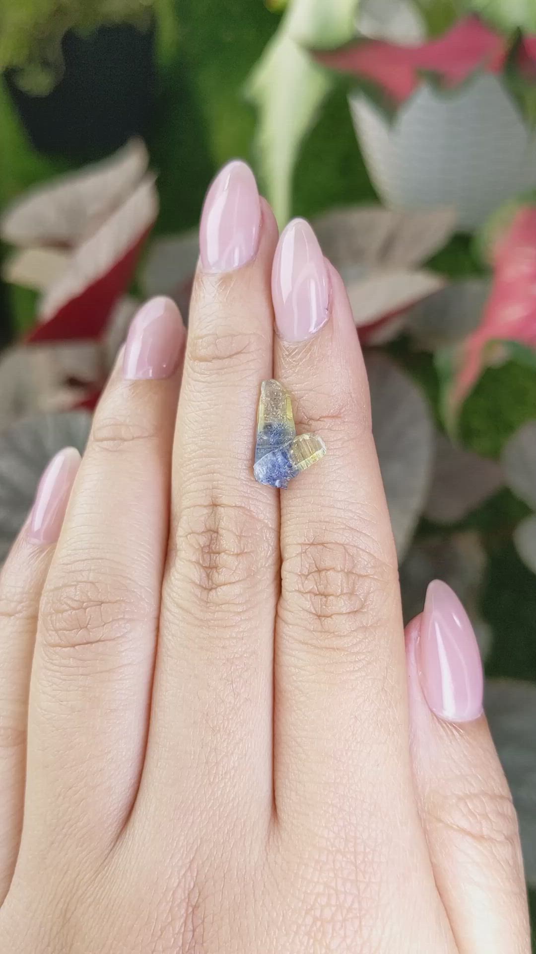 3.52 Ct. Bi Color Sapphire Crystal from Ceylon (Sri Lanka) Size Video