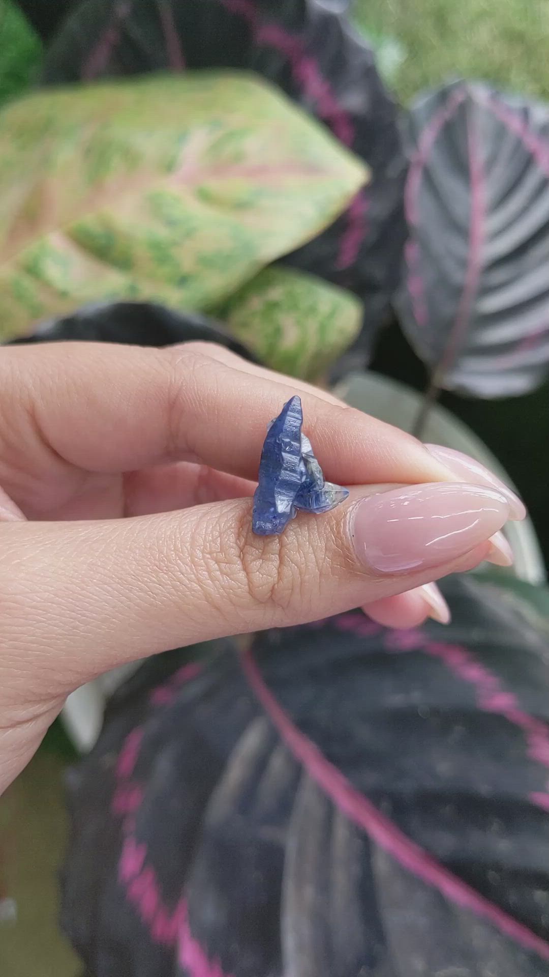 8.54 Ct. Blue Sapphire Crystal from Ceylon (Sri Lanka) Size Video