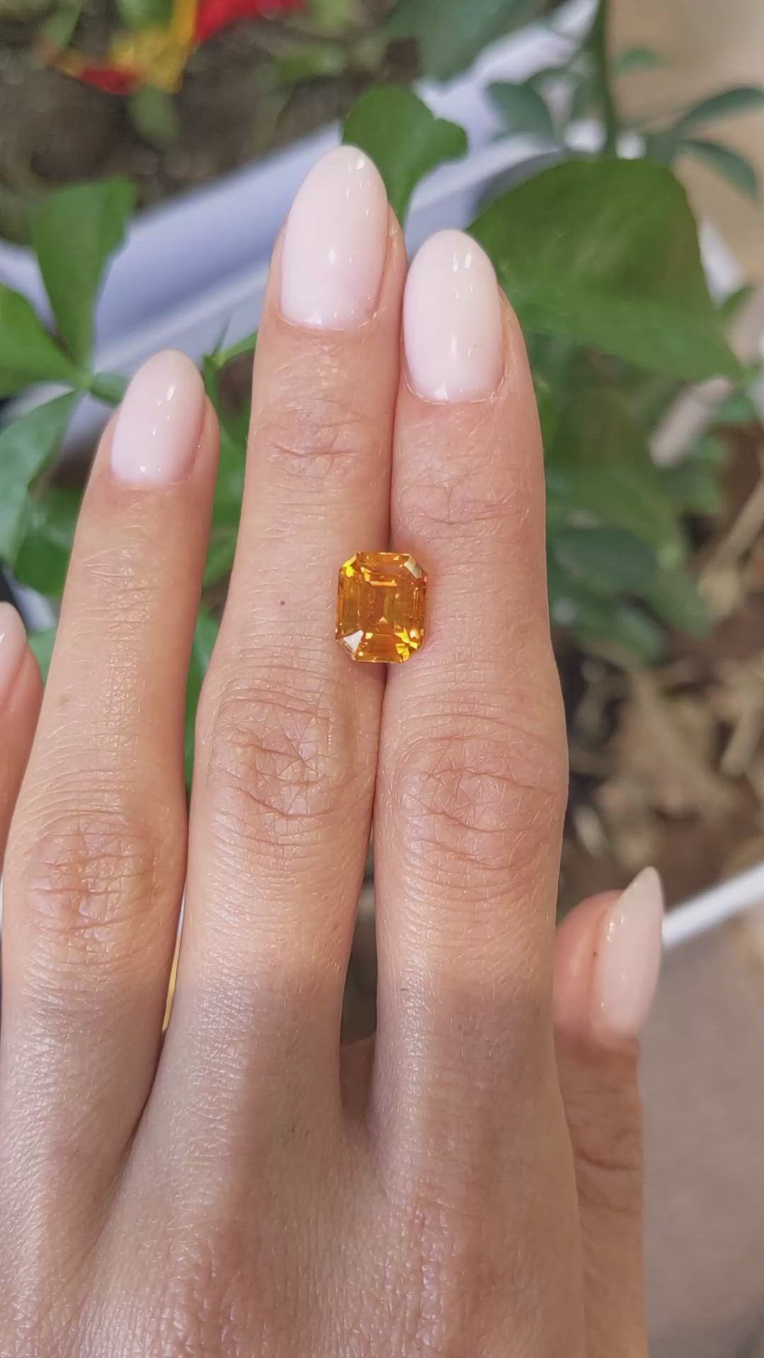 4.50 Ct. Yellowish Orange Sapphire from Ceylon (Sri Lanka) Size Video