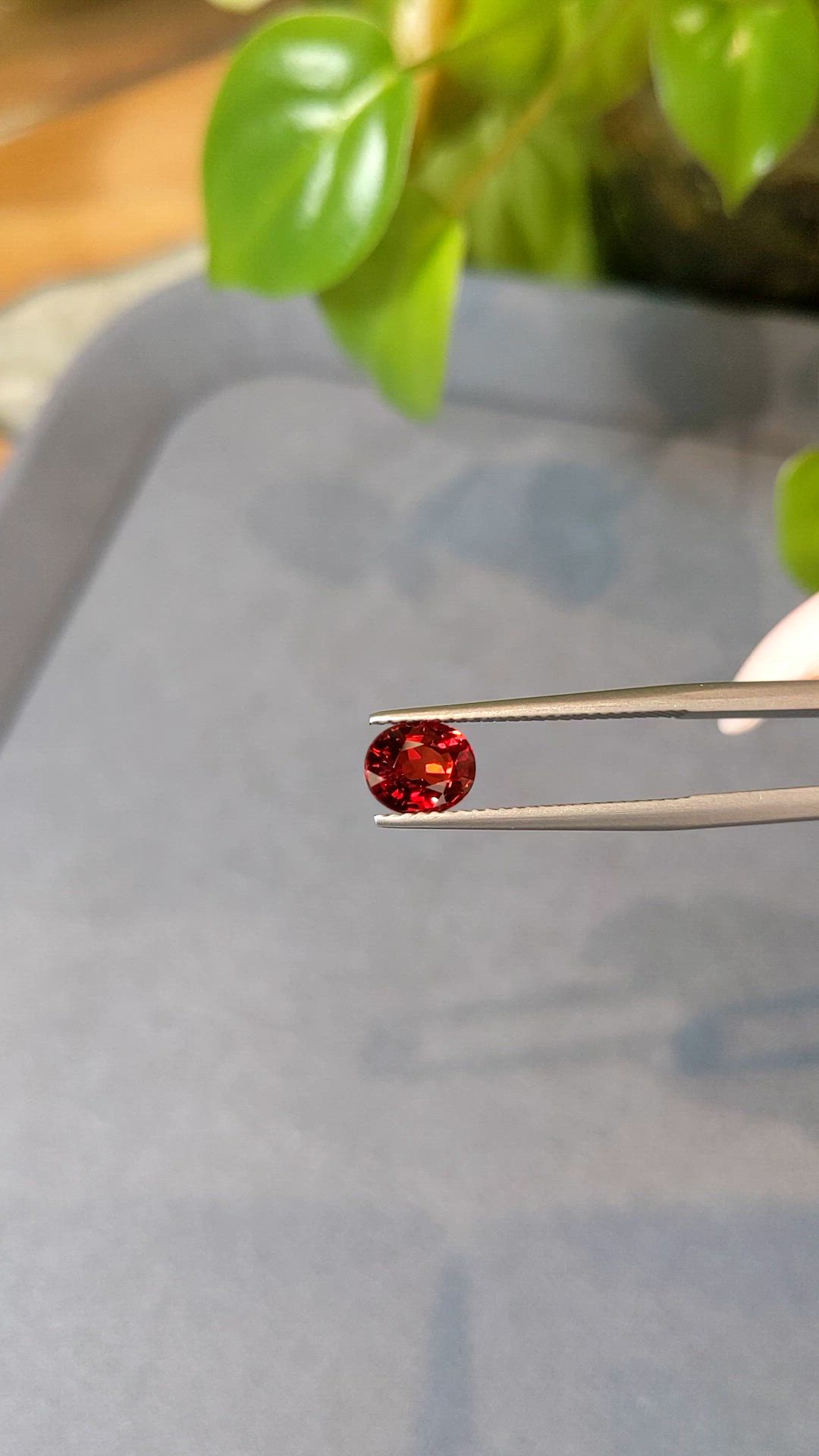 1.57 Ct. Reddish Orange Sapphire from Ceylon (Sri Lanka) Size Video