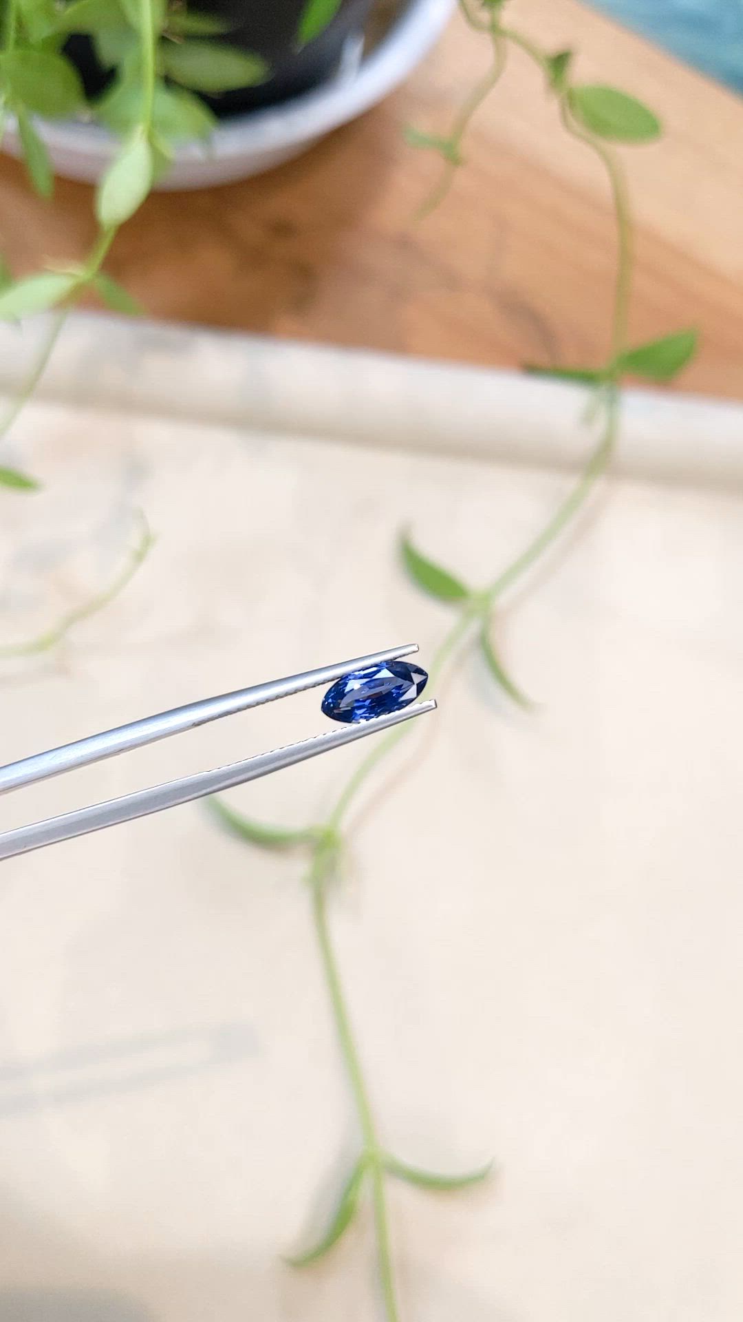 1.52 Ct. Blue Sapphire from Ceylon (Sri Lanka) Size Video
