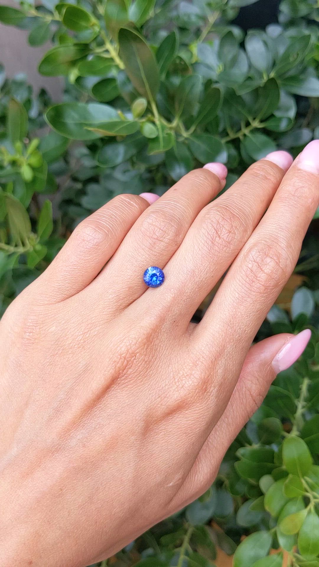 1.52 Ct. Blue Sapphire from Ceylon (Sri Lanka) Size Video