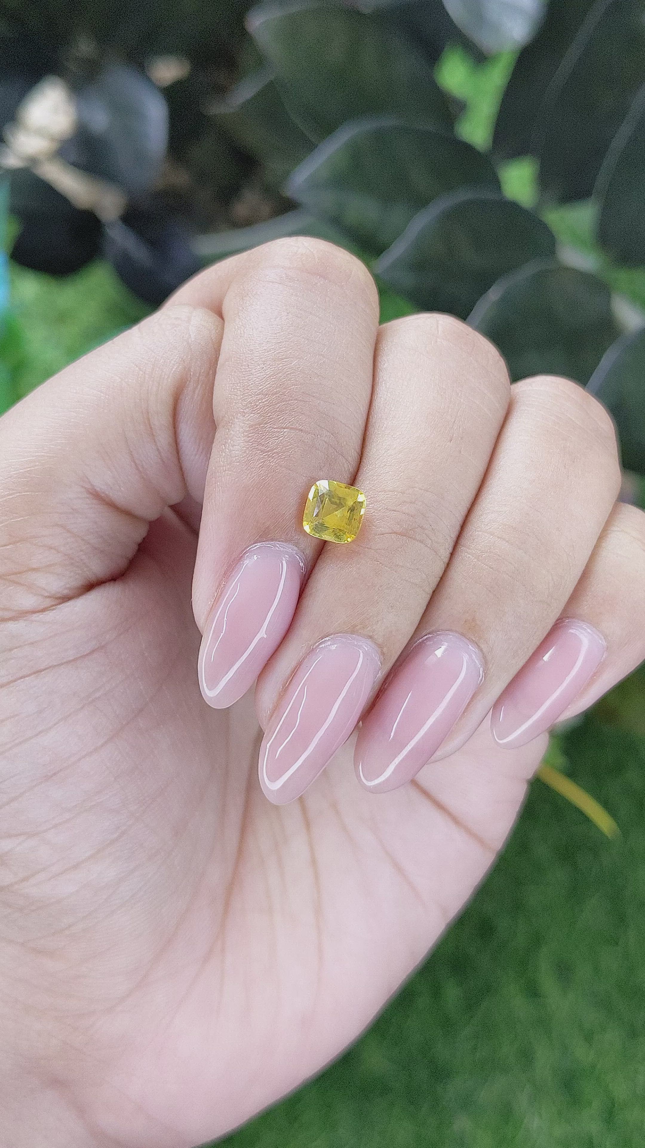 1.20 Ct. Yellow Sapphire from Ceylon (Sri Lanka) Size Video