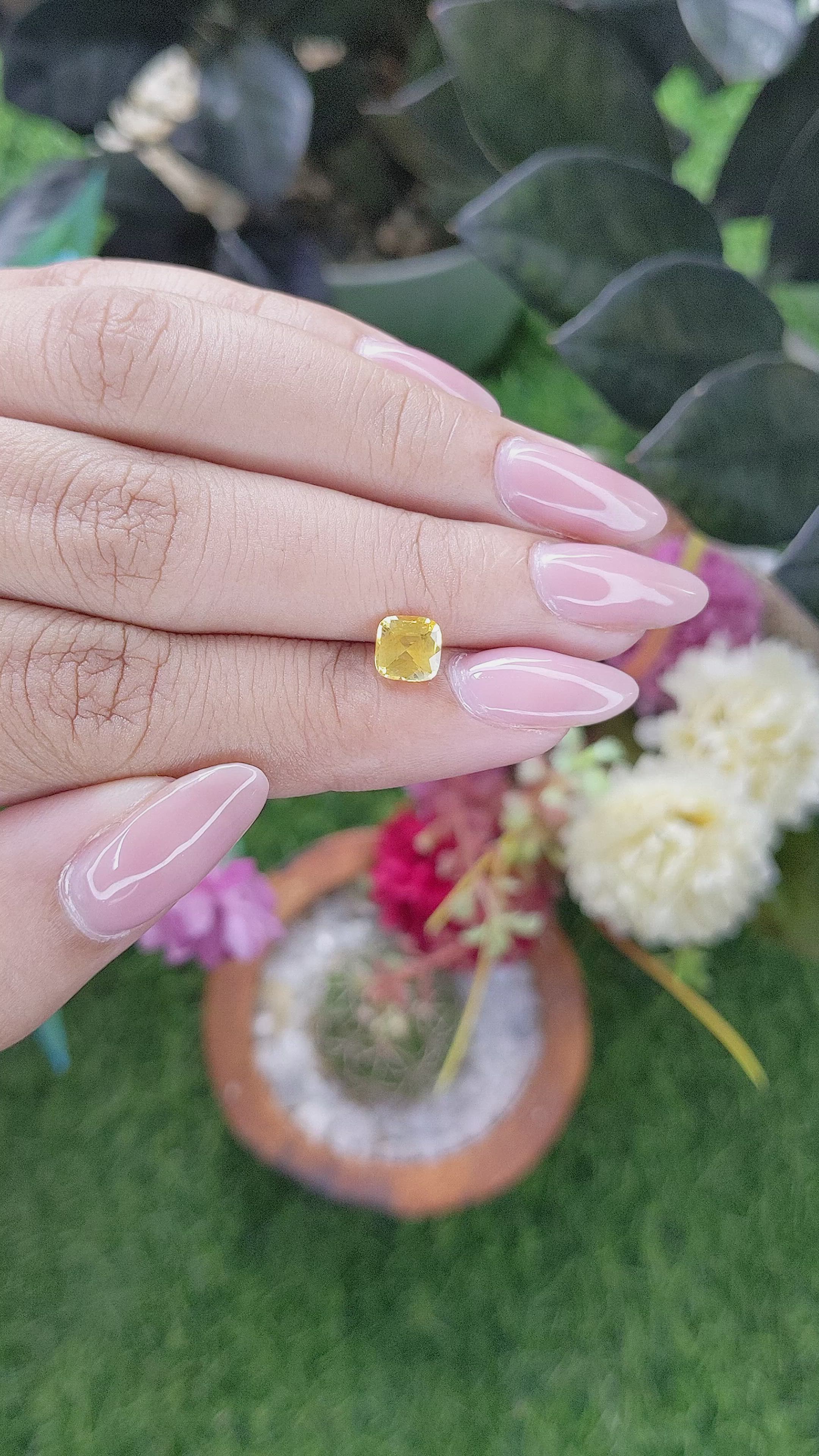 1.20 Ct. Yellow Sapphire from Ceylon (Sri Lanka) Size Video