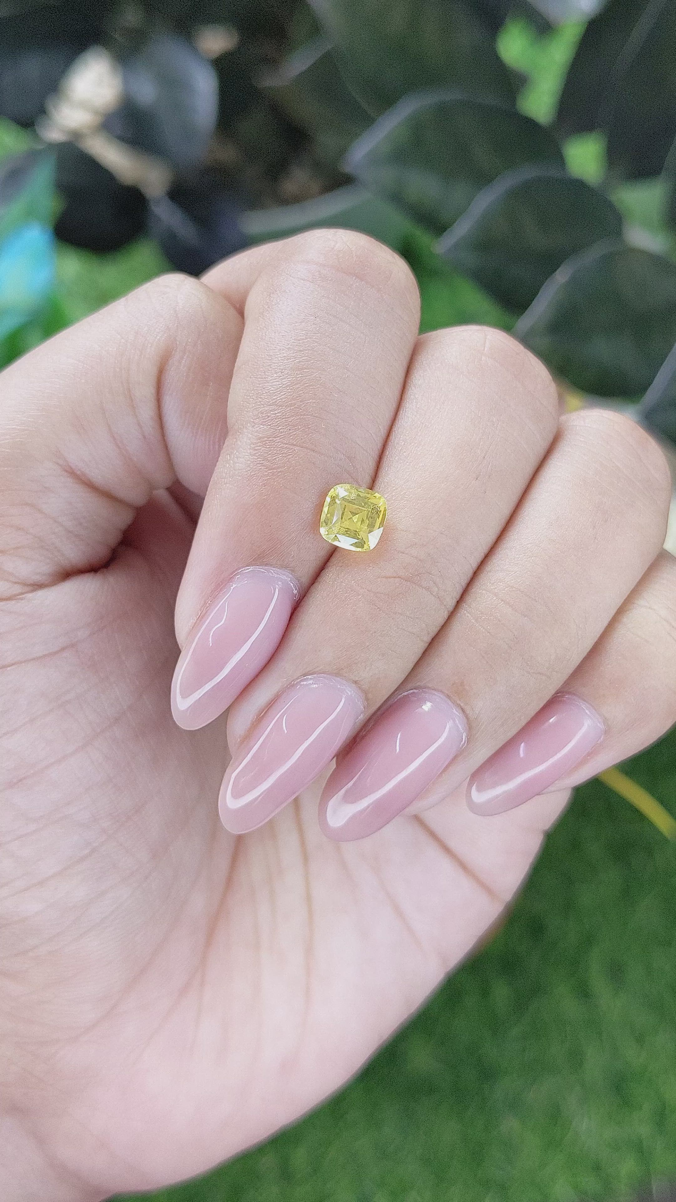 1.12 Ct. Yellow Sapphire from Ceylon (Sri Lanka) Size Video