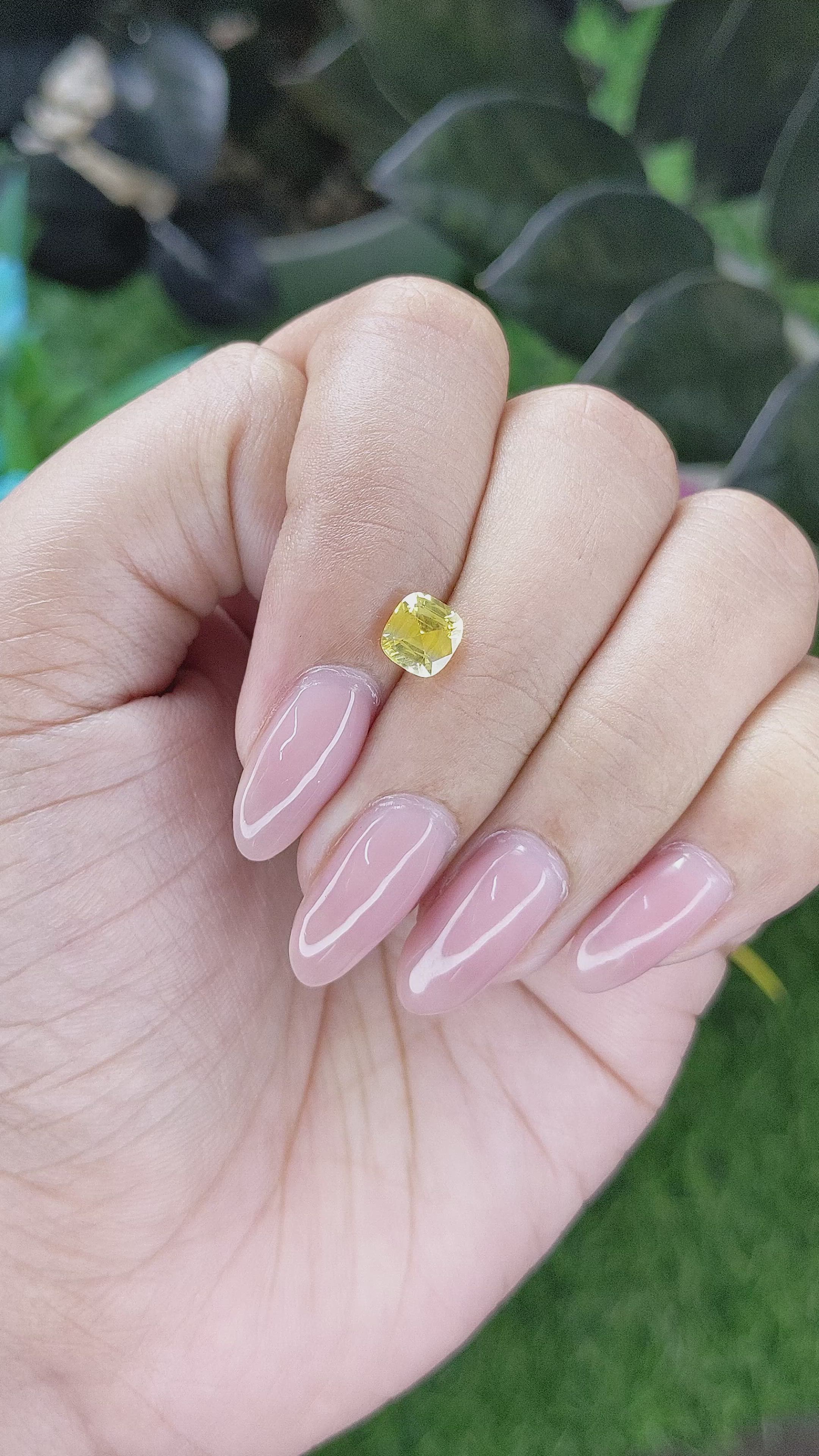 1.13 Ct. Yellow Sapphire from Ceylon (Sri Lanka) Size Video
