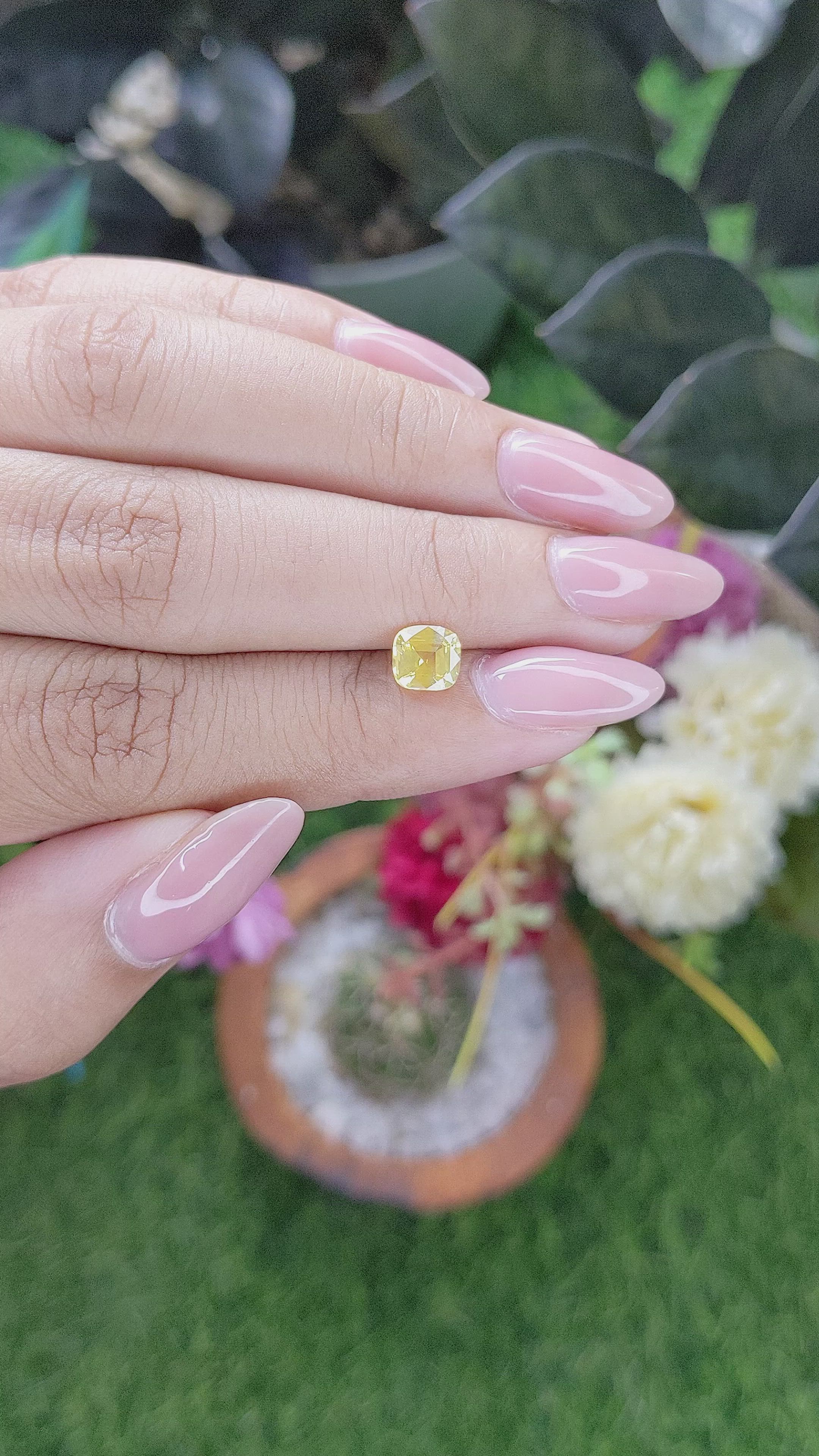 1.13 Ct. Yellow Sapphire from Ceylon (Sri Lanka) Size Video