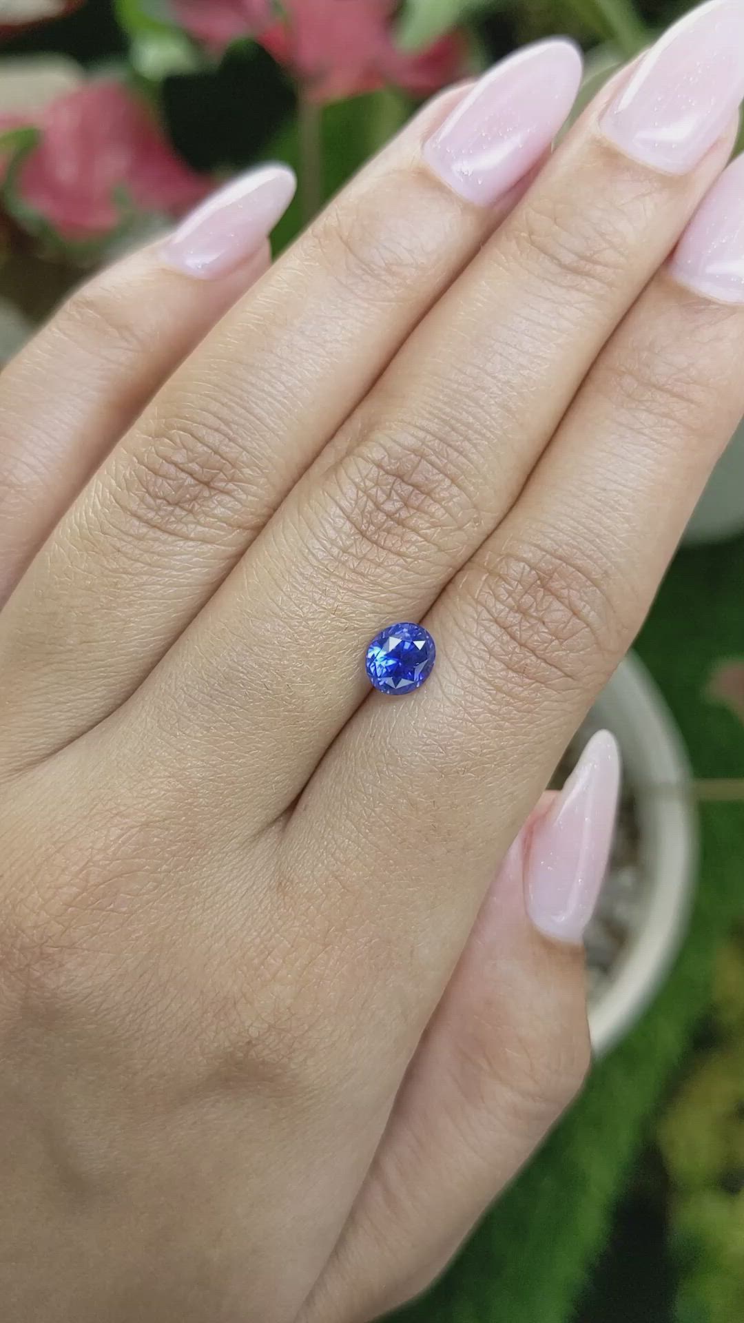 1.80 Ct. Blue Sapphire from Ceylon (Sri Lanka) Size Video