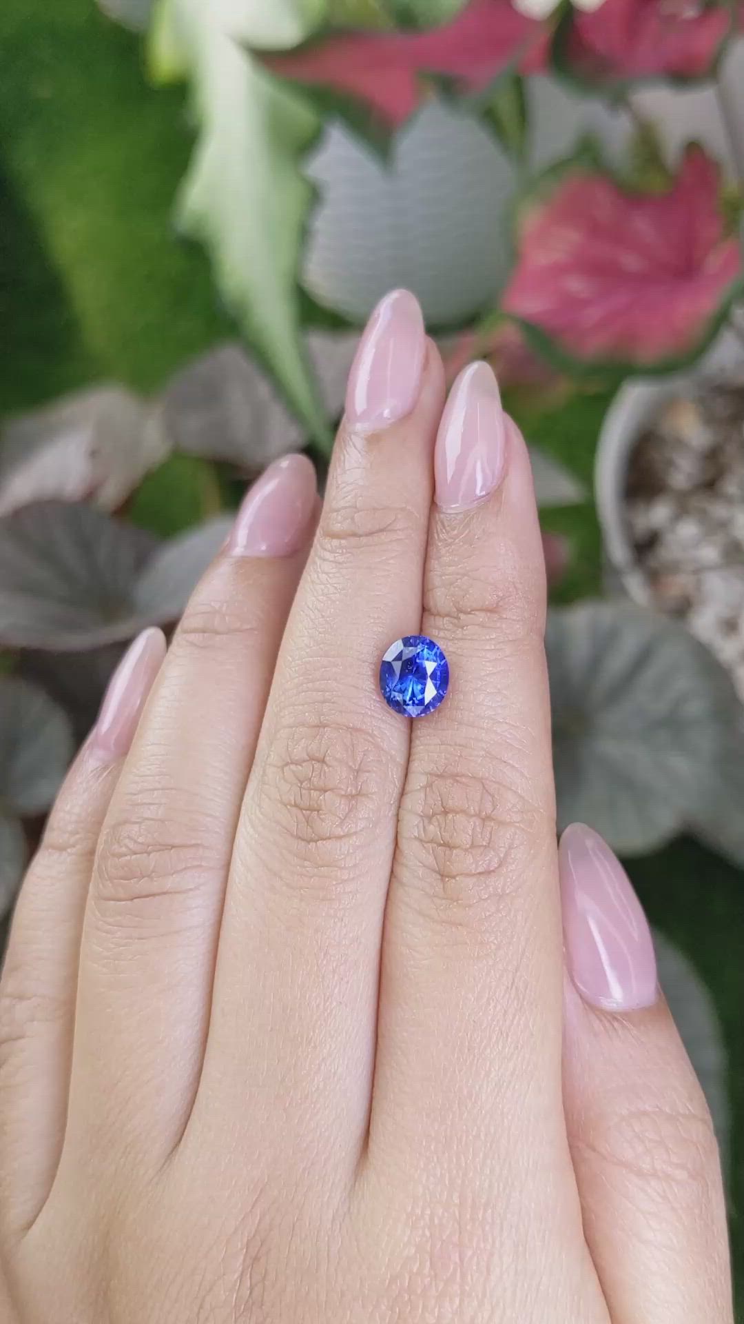 2.65 Ct. Blue Sapphire from Ceylon (Sri Lanka) Size Video