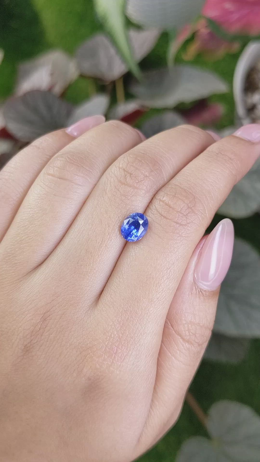 2.22 Ct. Blue Sapphire from Ceylon (Sri Lanka) Size Video