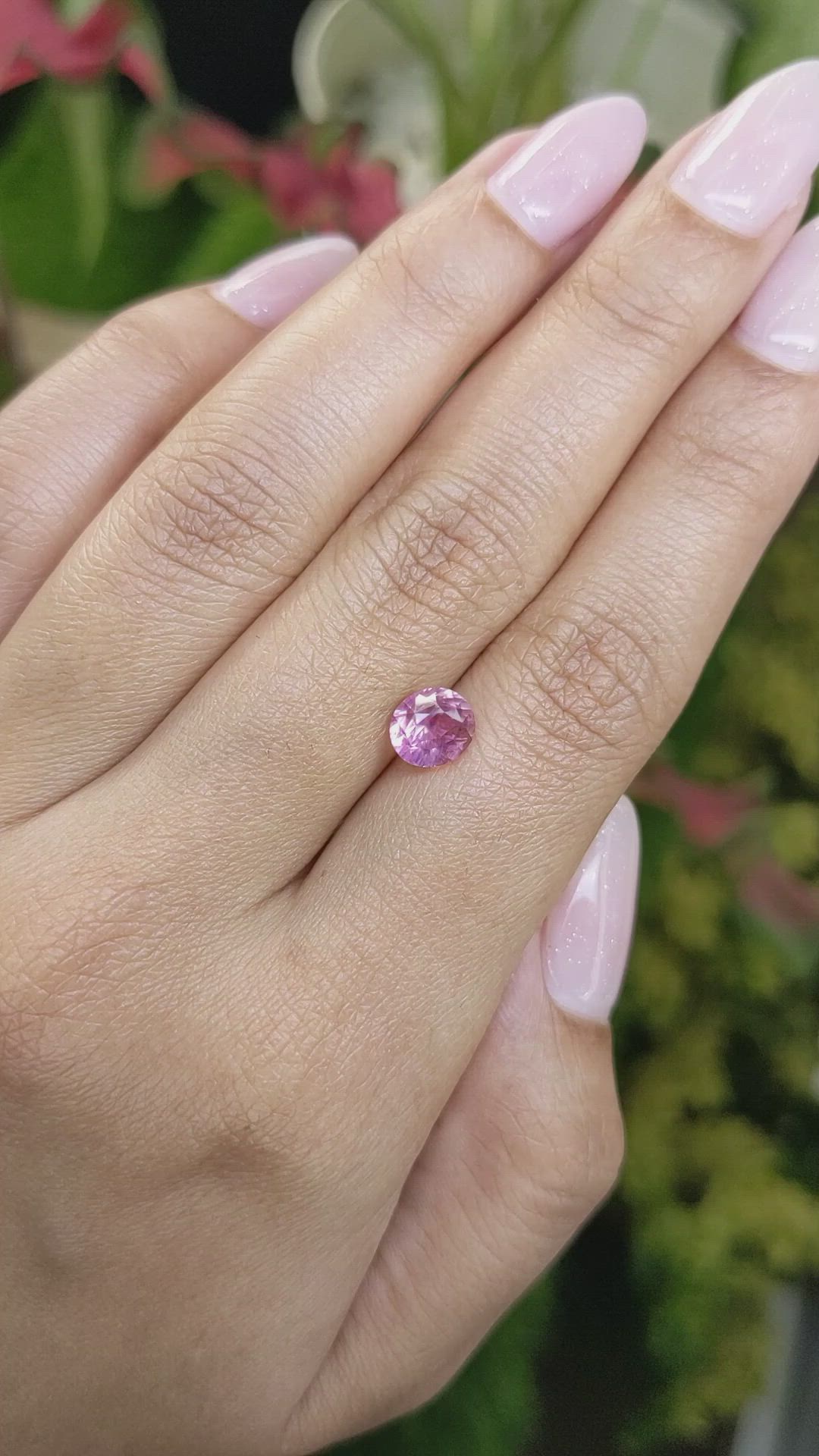 2.05 Ct. Pink Sapphire from Ceylon (Sri Lanka) Size Video