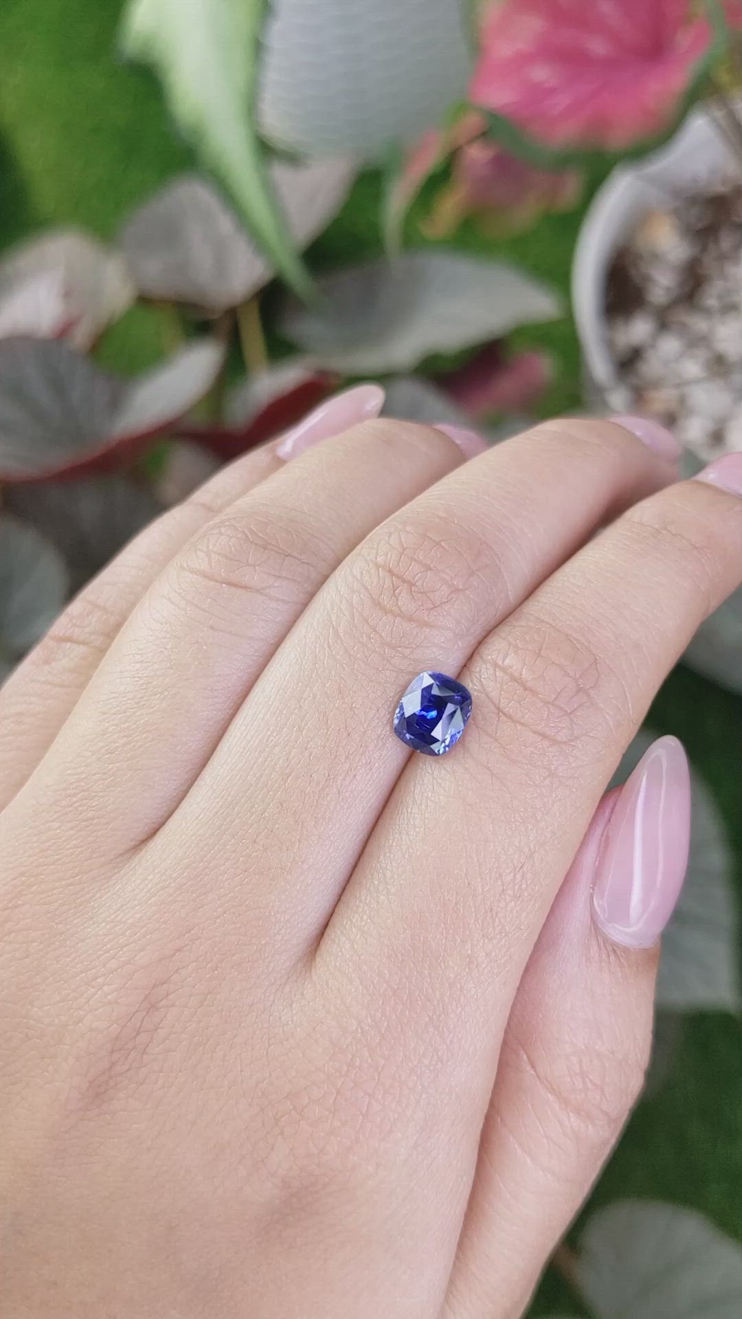 1.81 Ct. Blue Sapphire from Ceylon (Sri Lanka) Size Video