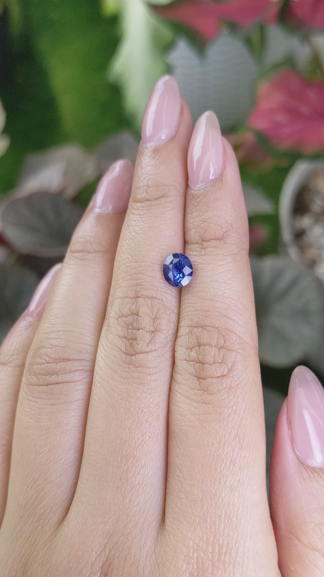 1.73 Ct. Blue Sapphire from Ceylon (Sri Lanka) Size Video