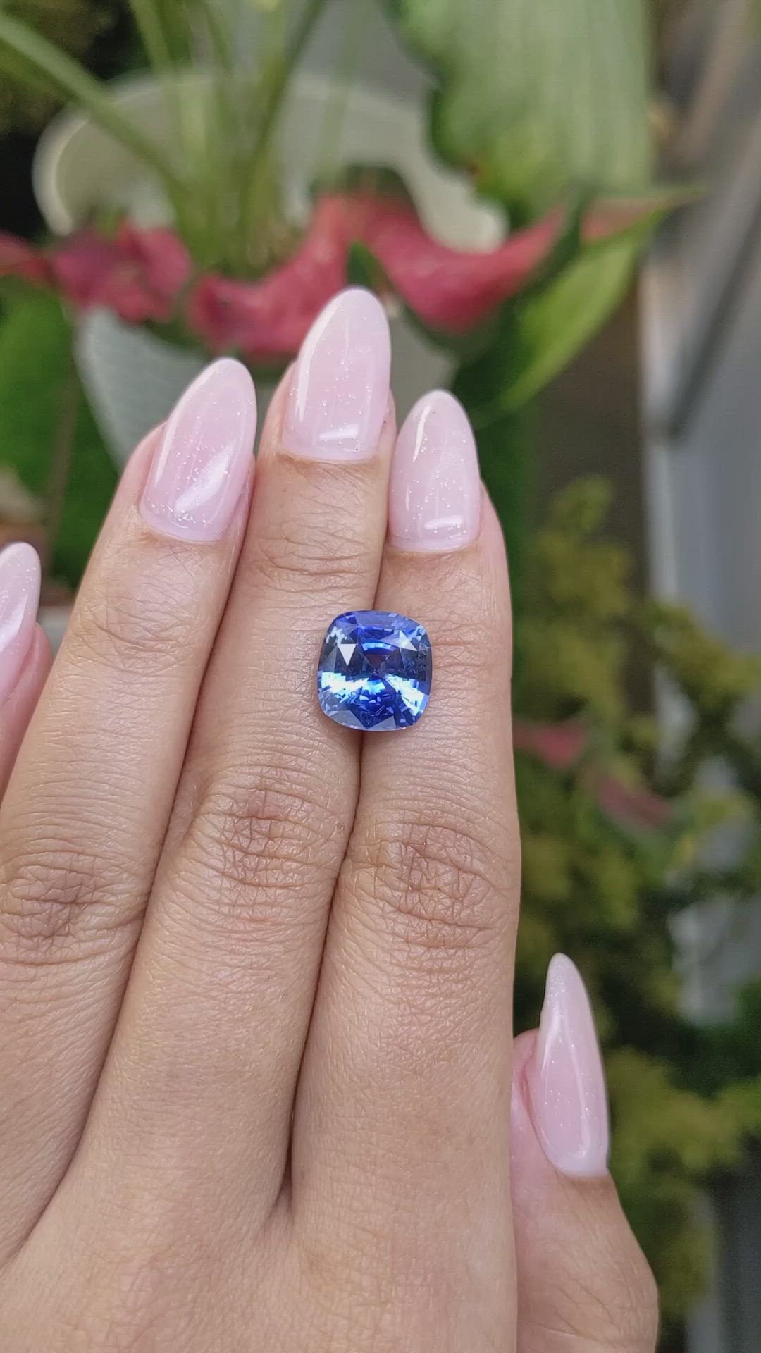 5.55 Ct. Blue Sapphire from Ceylon (Sri Lanka) Size Video