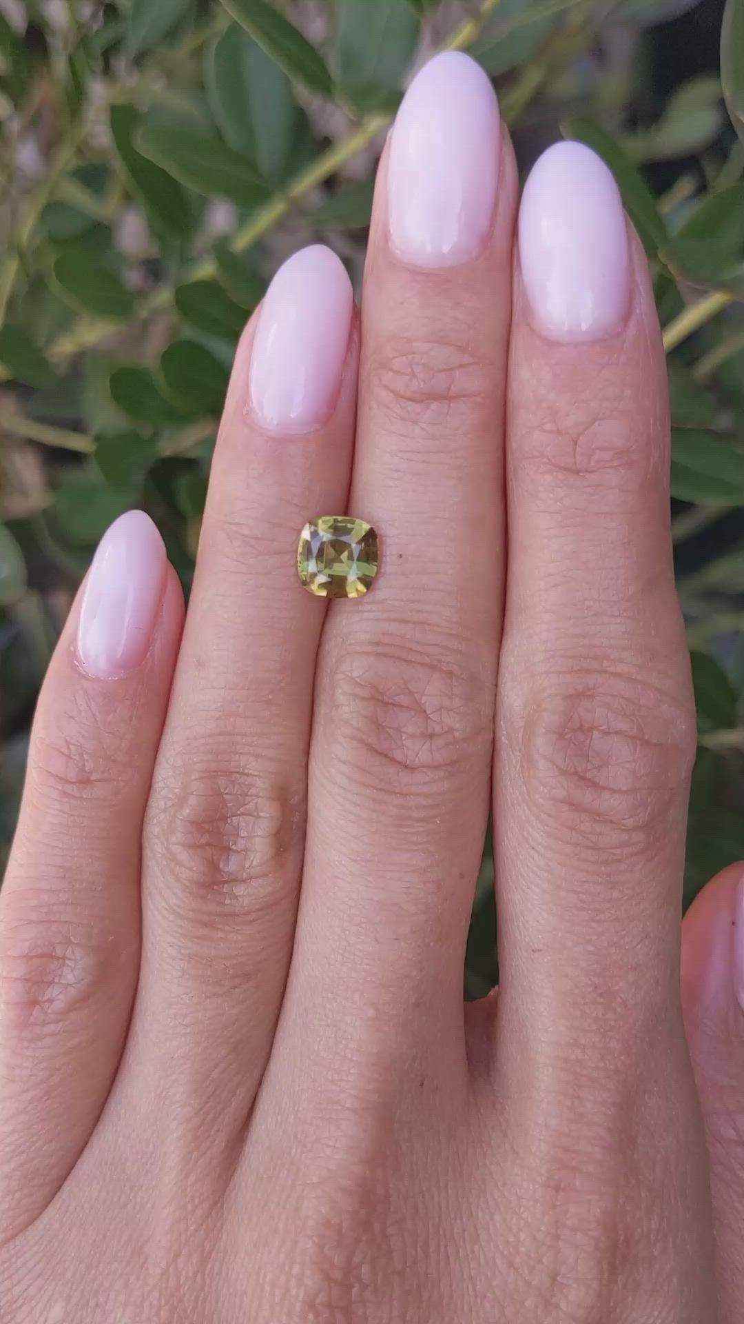 1.59 Ct. Yellowish Brown Sapphire from Ceylon (Sri Lanka) Size Video