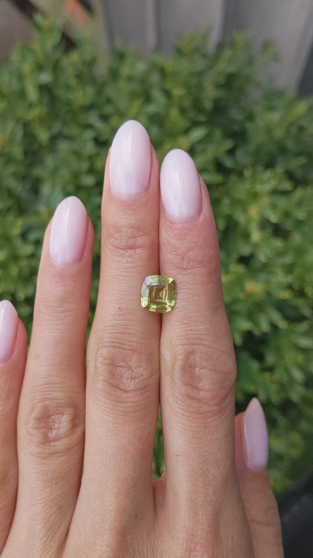 2.21 Ct. Yellowish Green Sapphire from Ceylon (Sri Lanka) Size Video