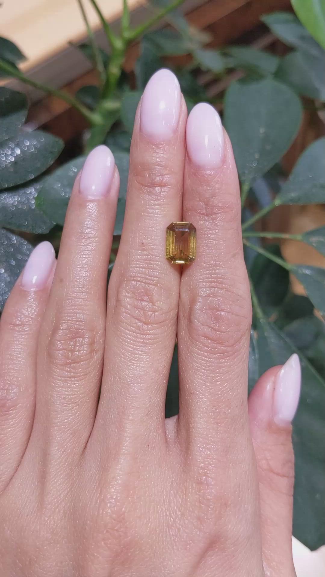 2.31 Ct. Yellowish Brown Sapphire from Ceylon (Sri Lanka) Size Video