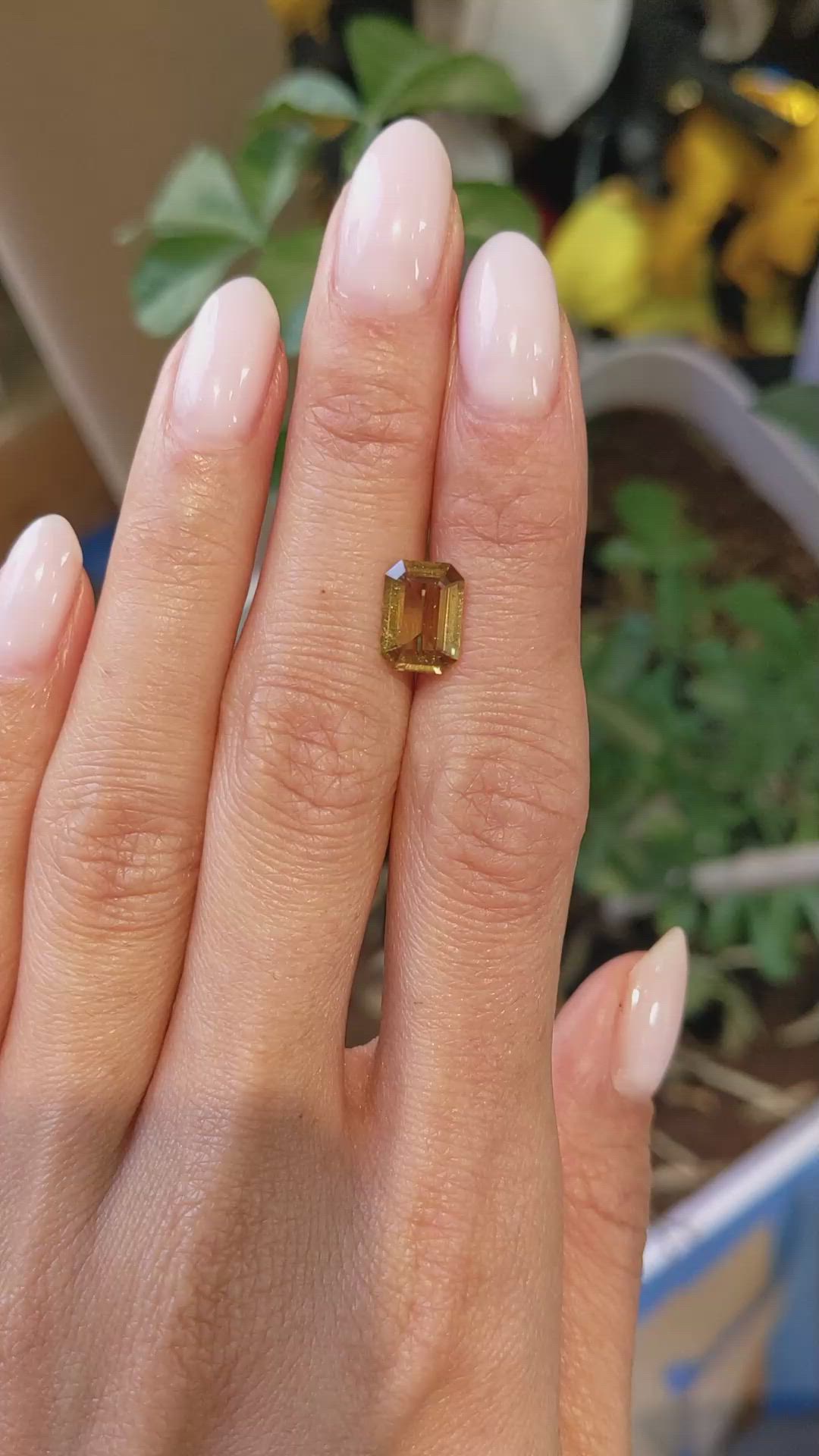 2.31 Ct. Yellowish Brown Sapphire from Ceylon (Sri Lanka) Size Video