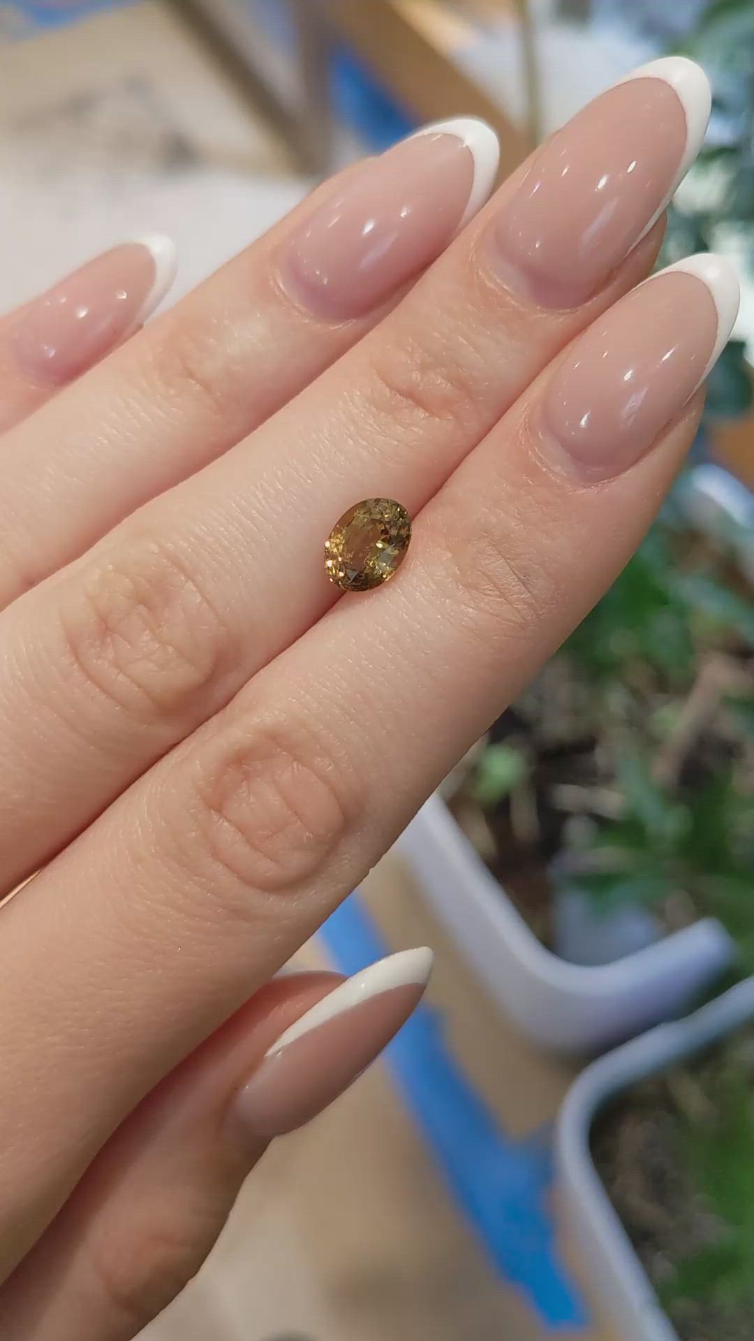 2.10 Ct. Yellowish Brown Sapphire from Ceylon (Sri Lanka) Size Video